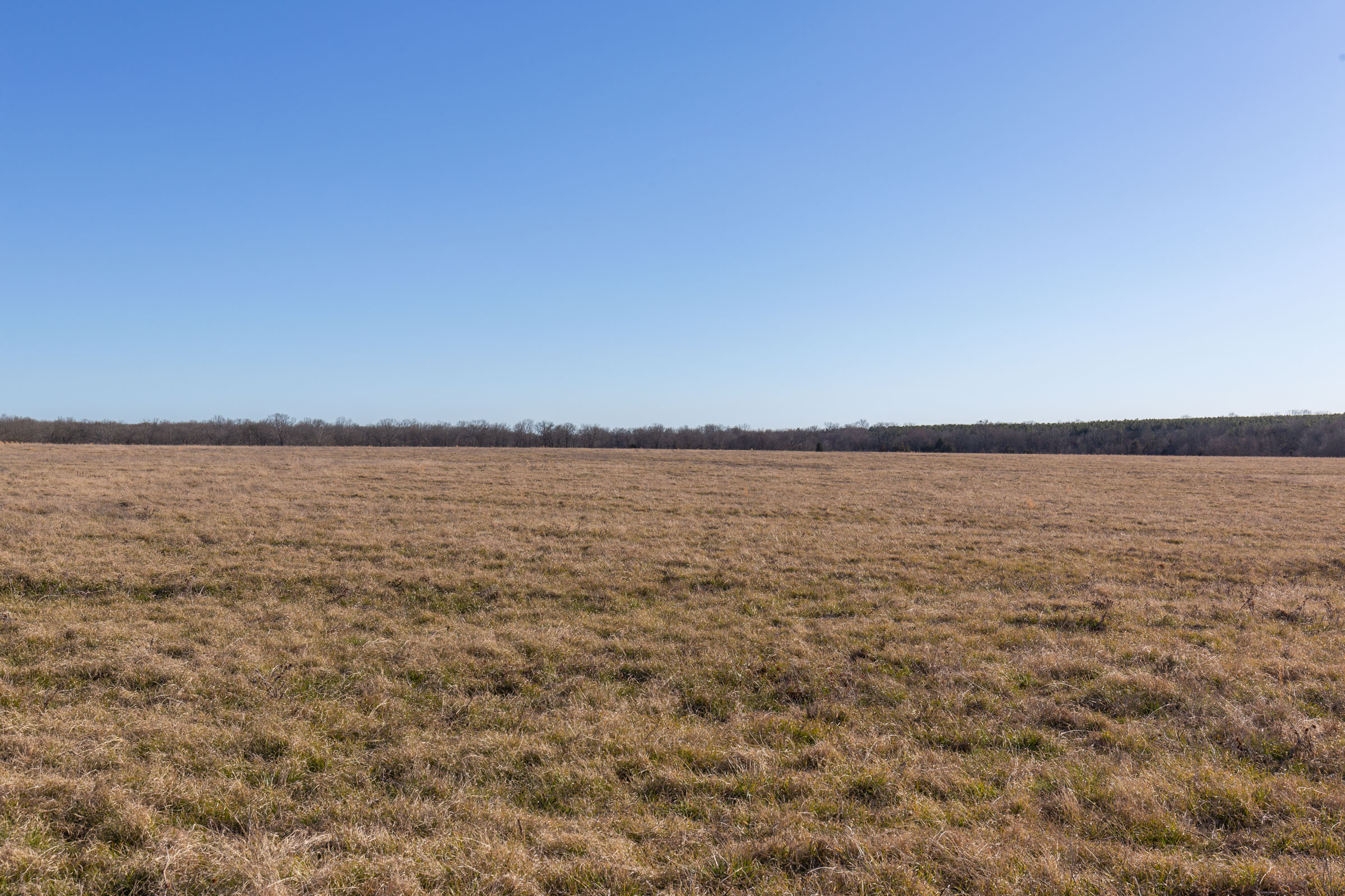 Tract 10 at Wishing Star Ranch in Red River County, Texas