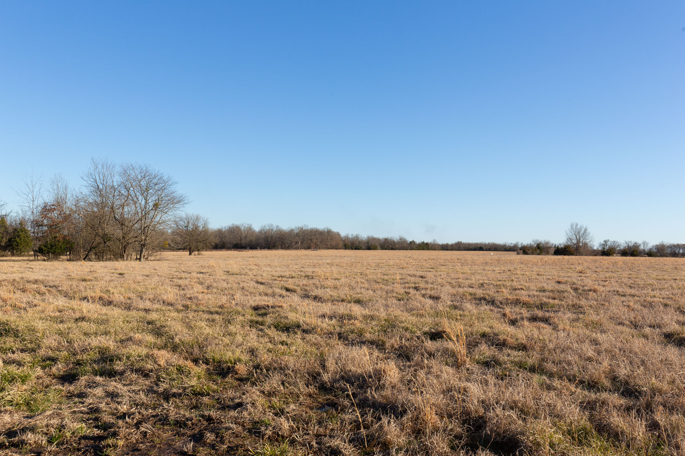 Tract 14 at Wishing Star Ranch in Red River County, Texas