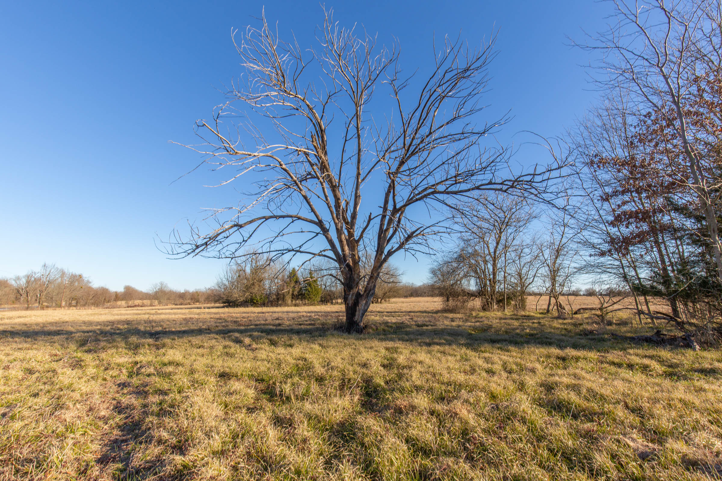 Tract 15 at Wishing Star Ranch in Red River County, Texas