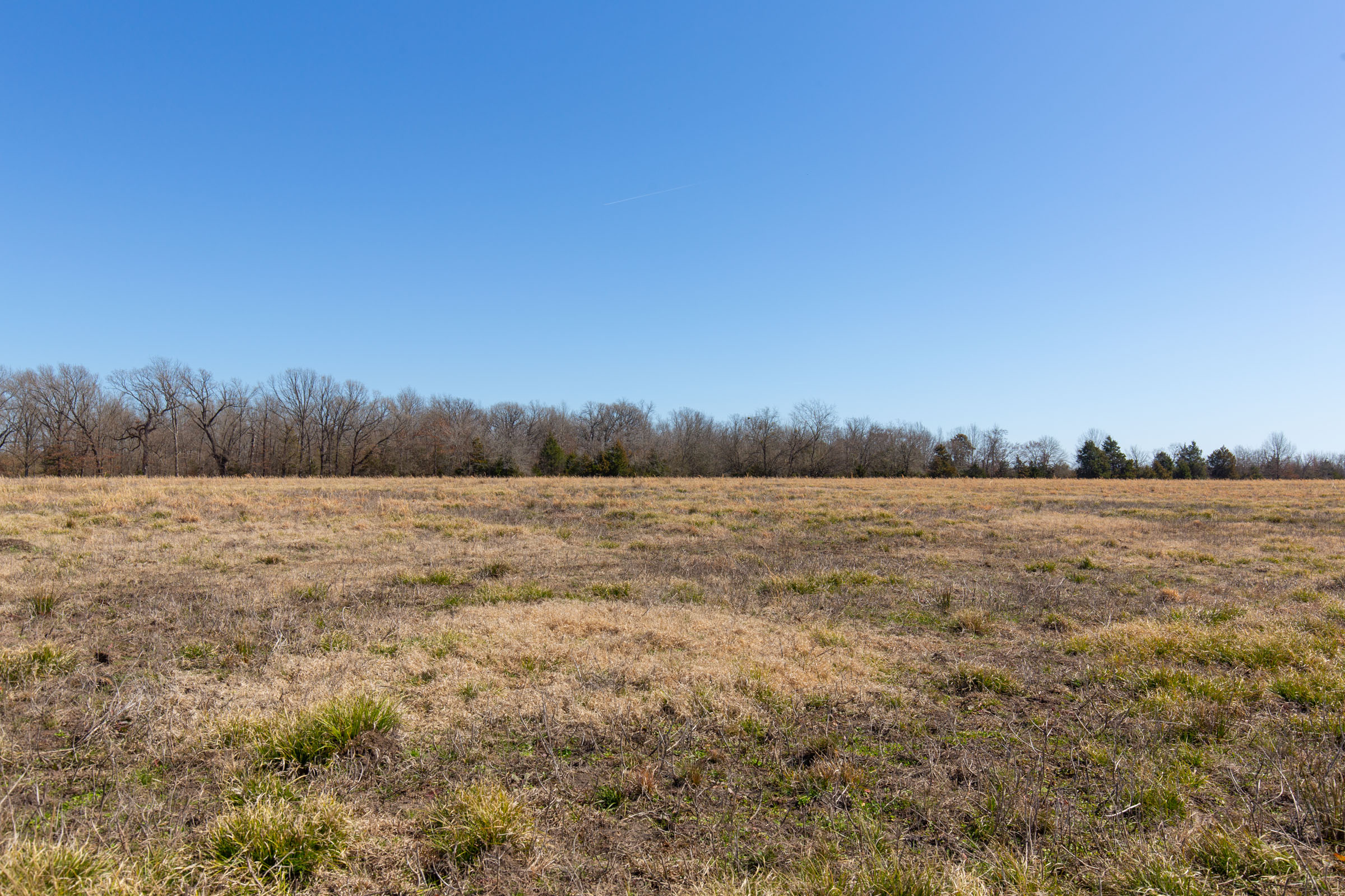 Tract 18 at Wishing Star Ranch in Red River County, Texas