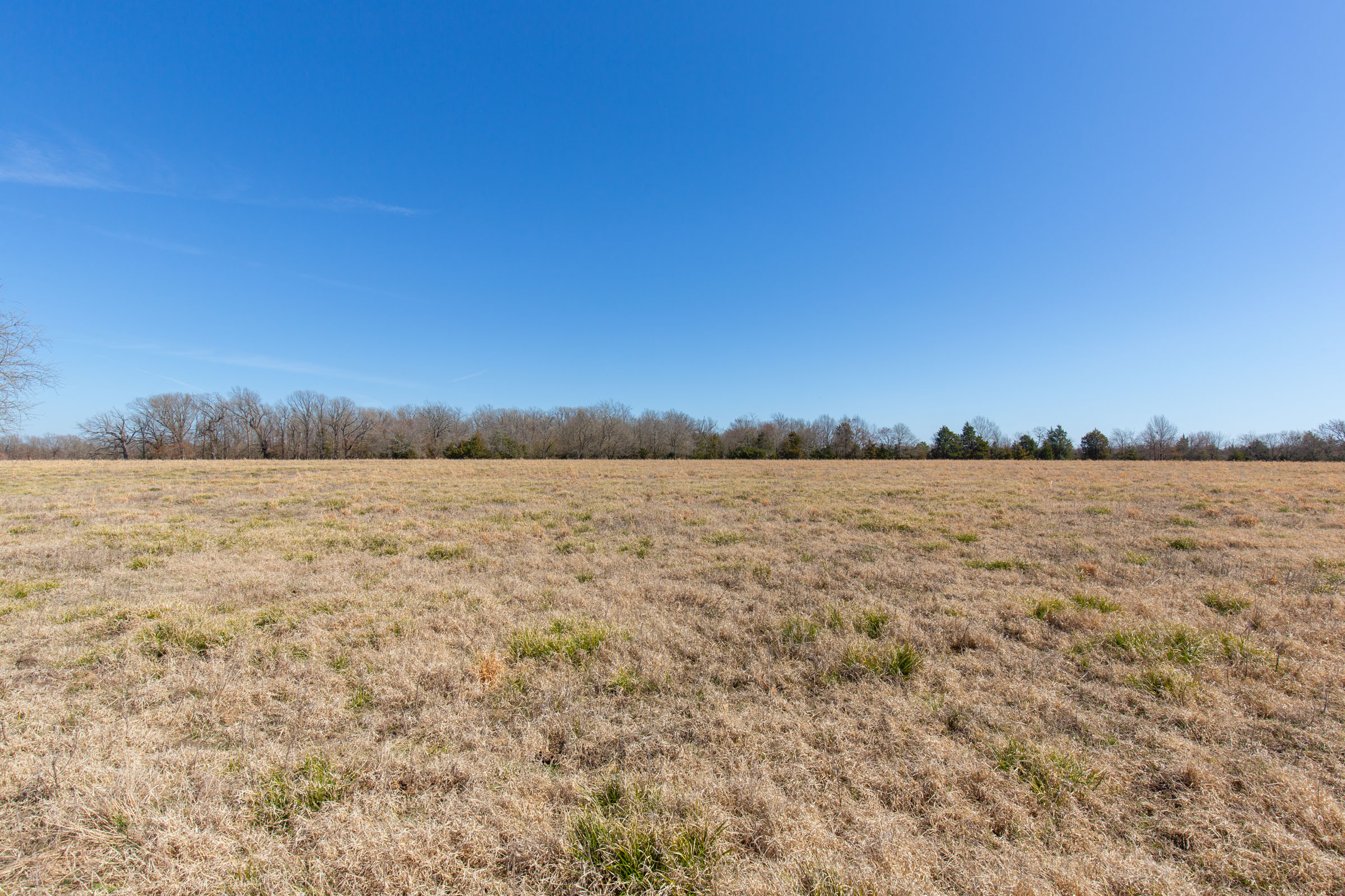 Tract 19 at Wishing Star Ranch in Red River County, Texas