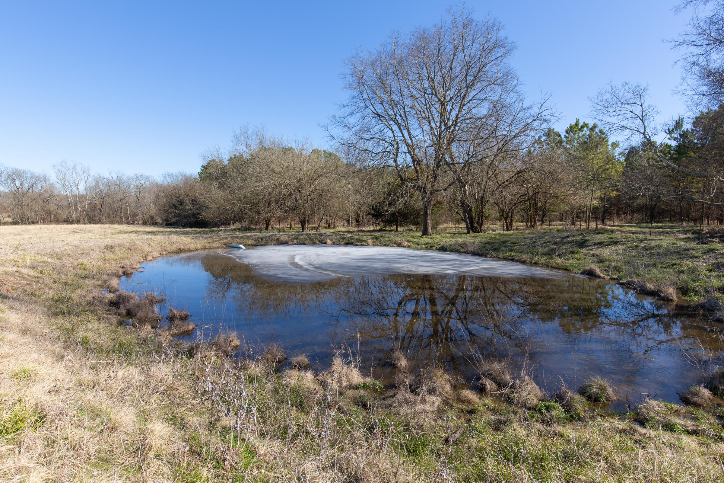Tract 2 at Wishing Star Ranch in Red River County, Texas