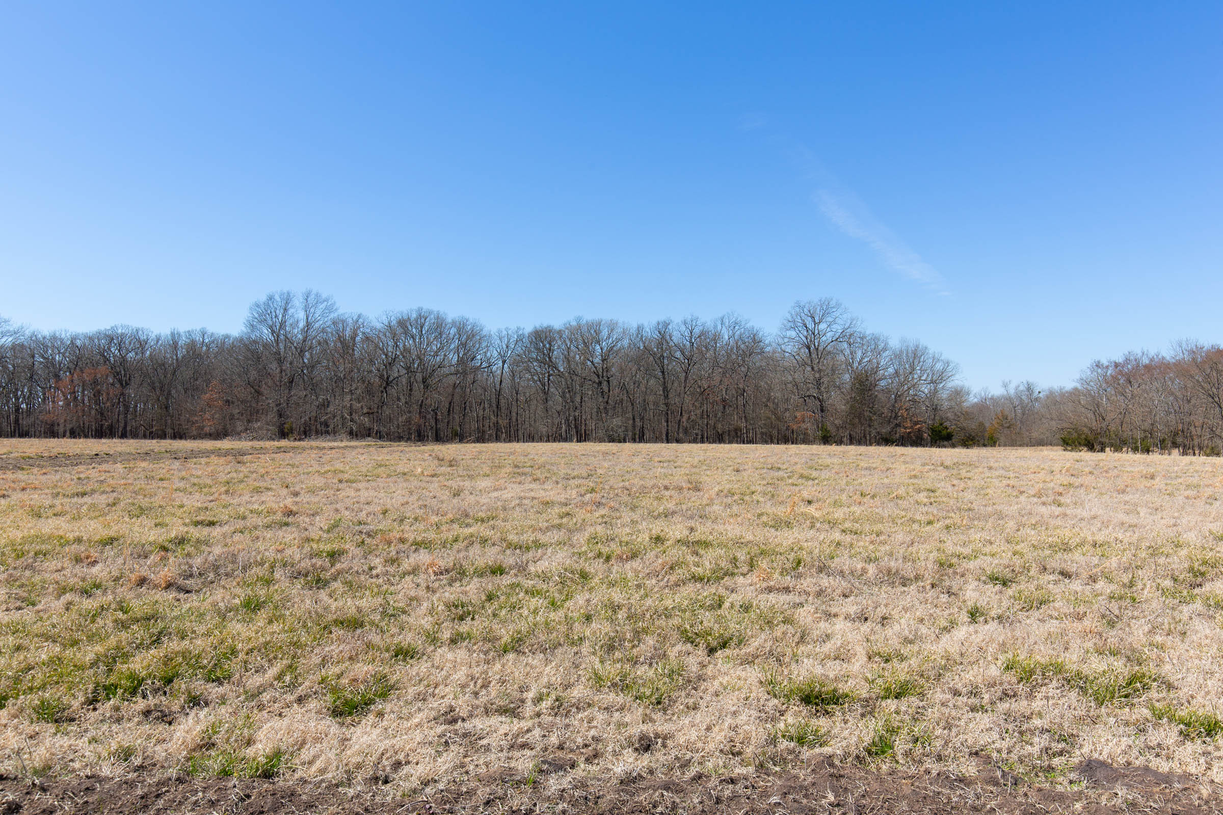 Tract 20 at Wishing Star Ranch in Red River County, Texas