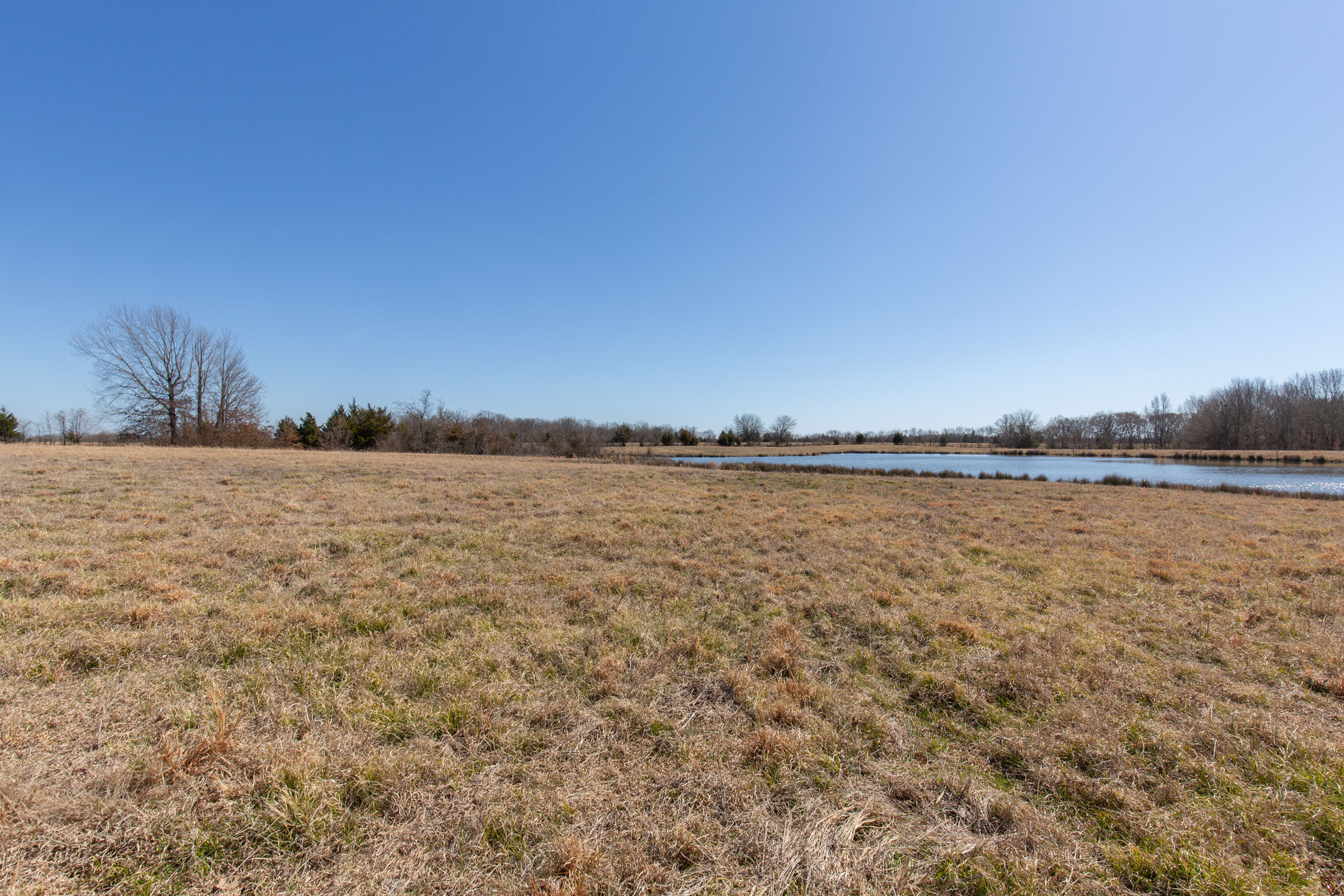 Tract 23 at Wishing Star Ranch in Red River County, Texas