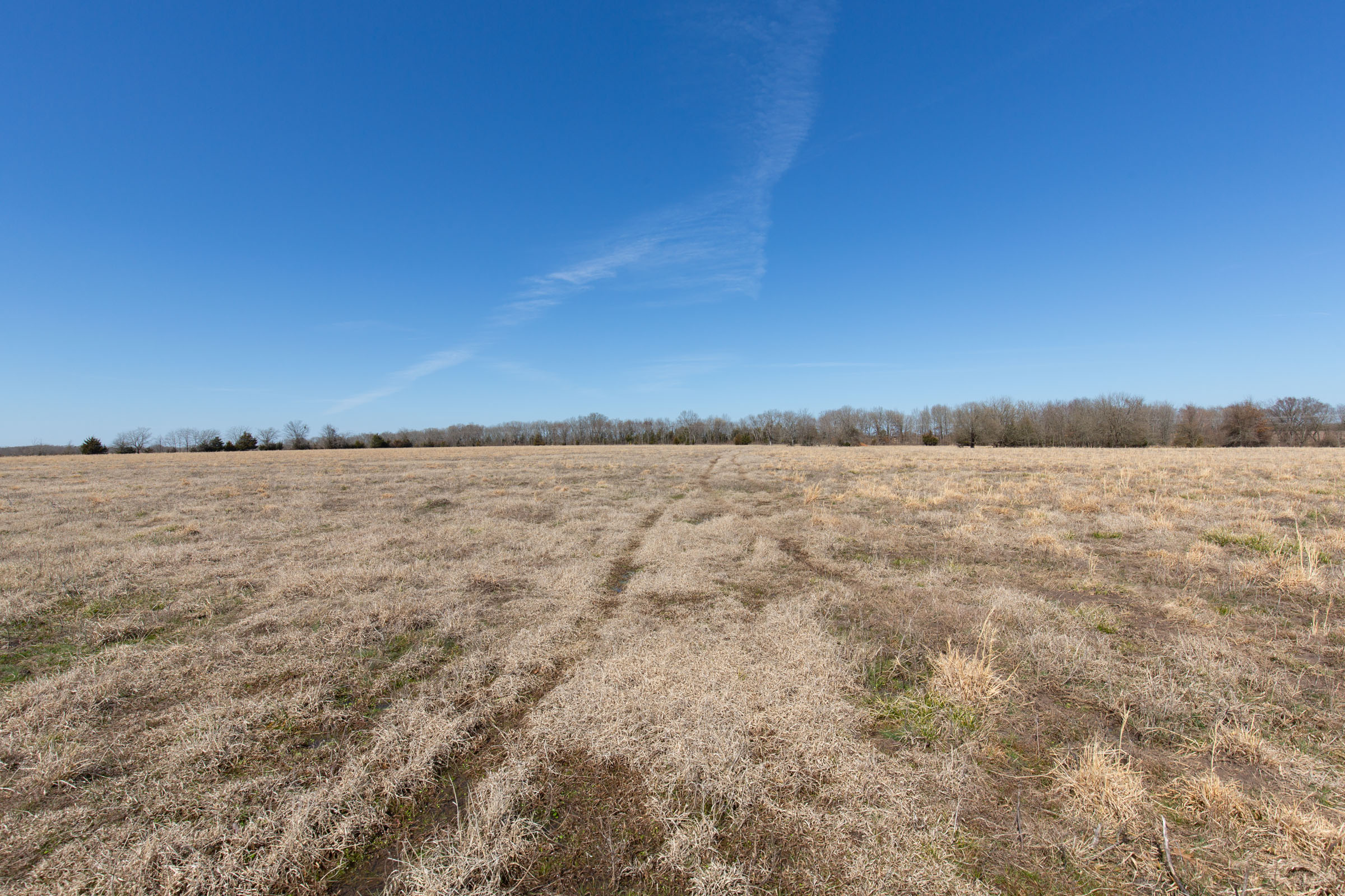 Tract 24 at Wishing Star Ranch in Red River County, Texas