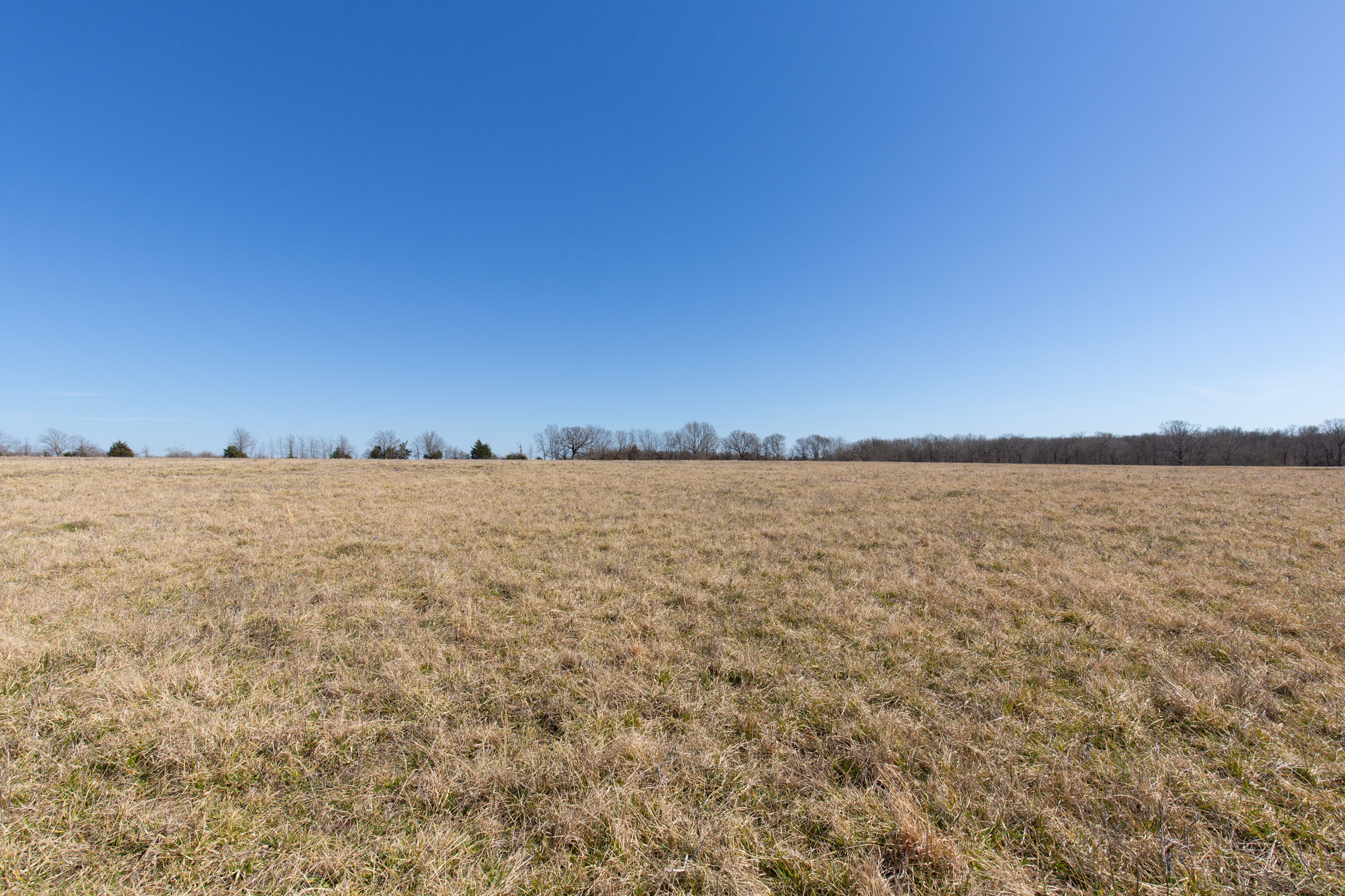 Tract 25 at Wishing Star Ranch in Red River County, Texas