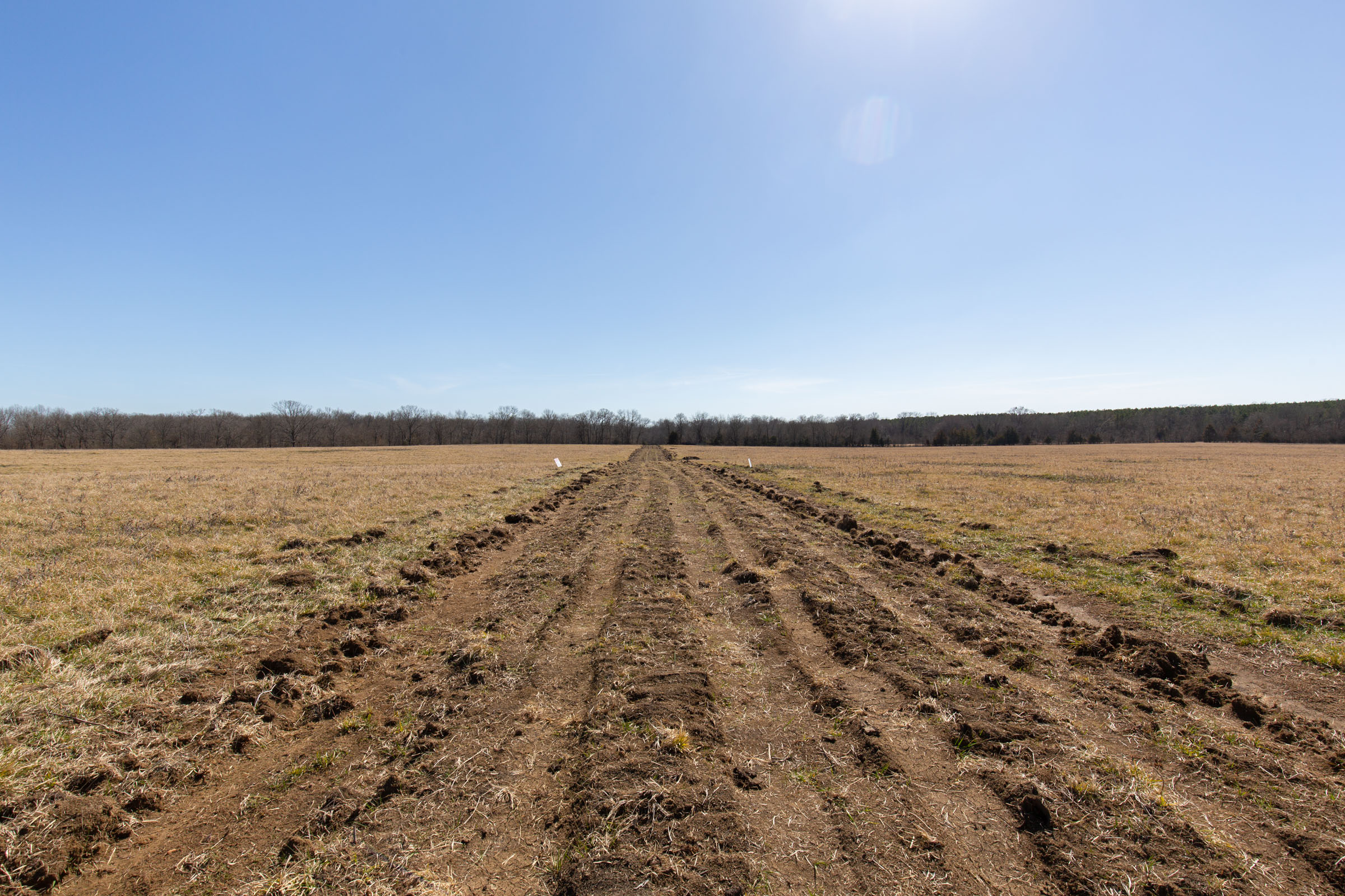 Tract 26 at Wishing Star Ranch in Red River County, Texas