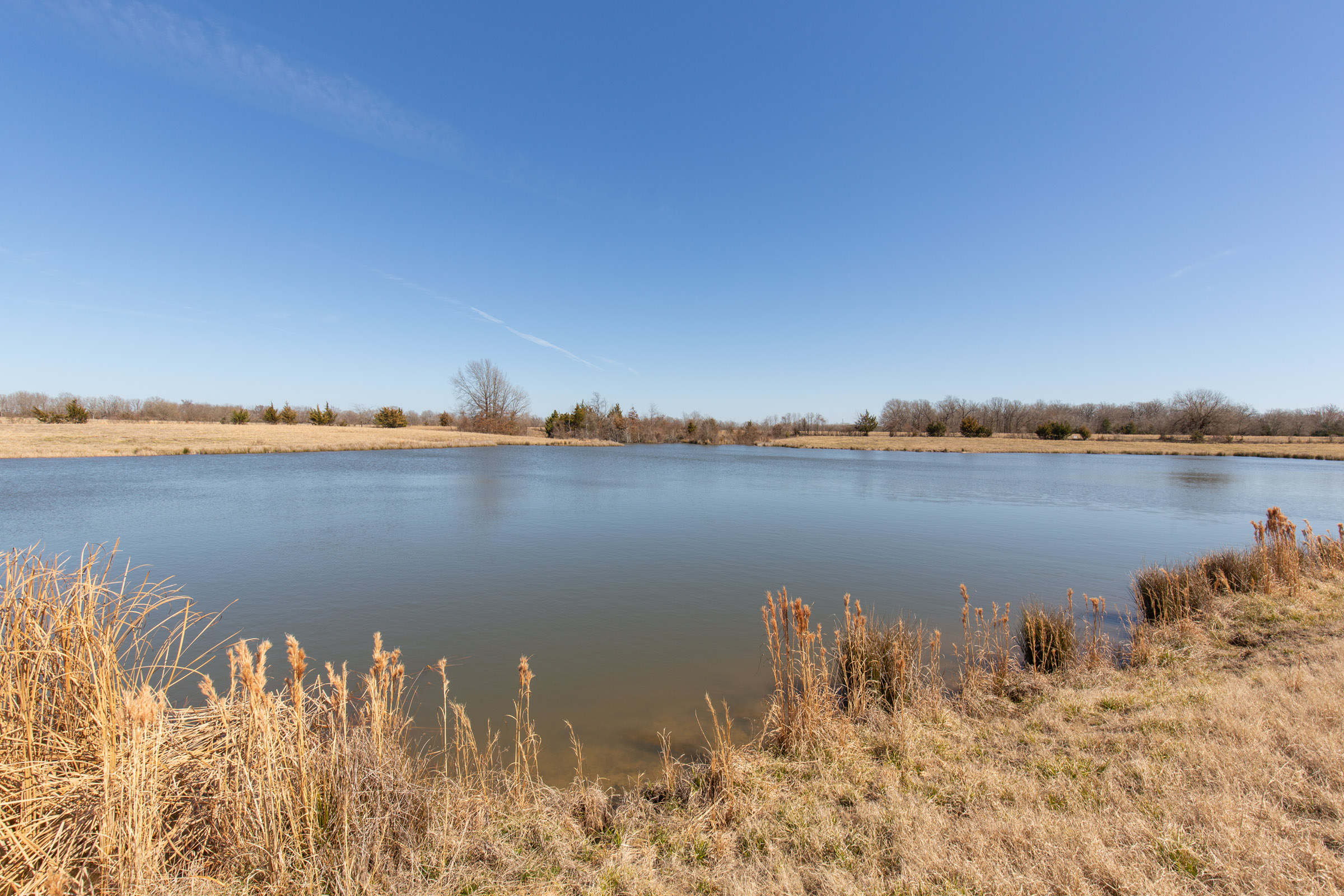 Tract 28 at Wishing Star Ranch in Red River County, Texas