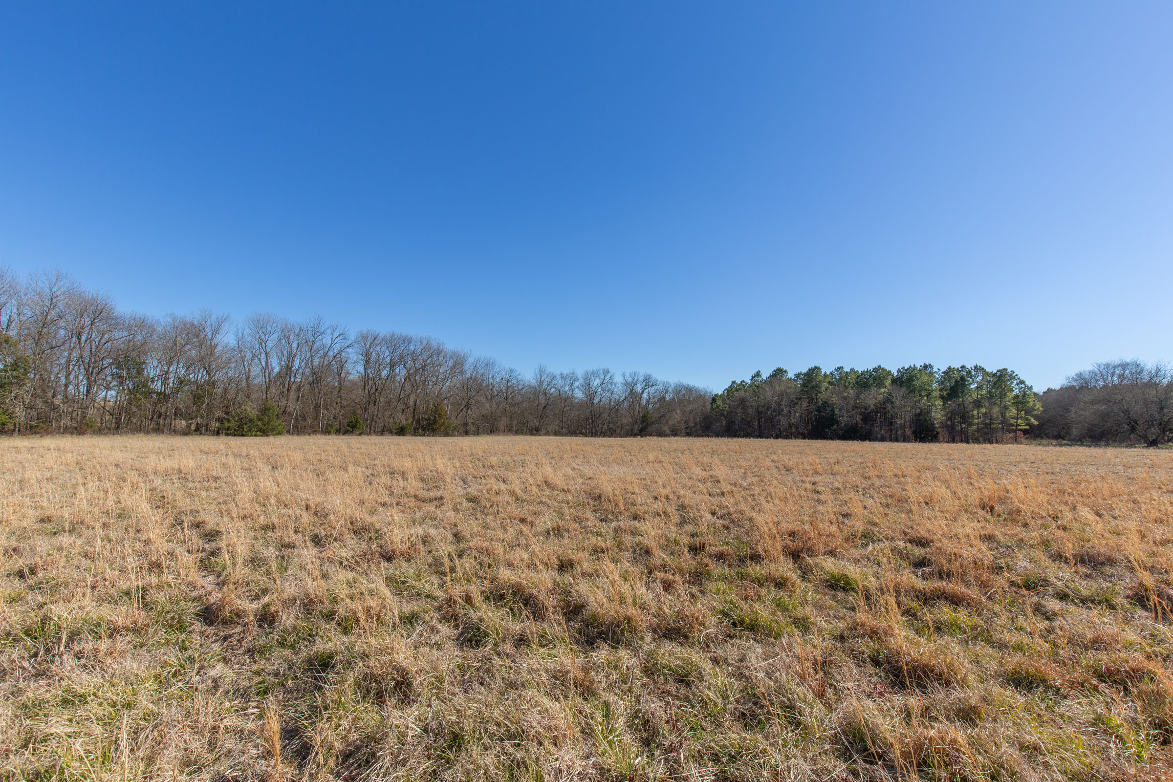 Tract 3 at Wishing Star Ranch in Red River County, Texas