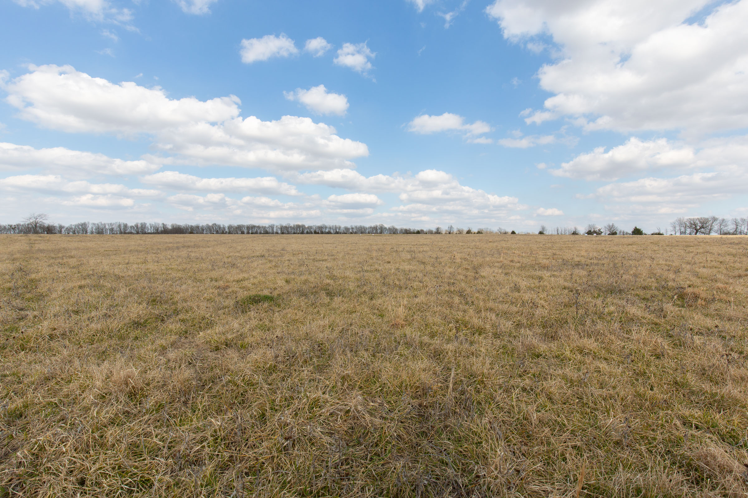 Tract 36 at Wishing Star Ranch in Red River County, Texas