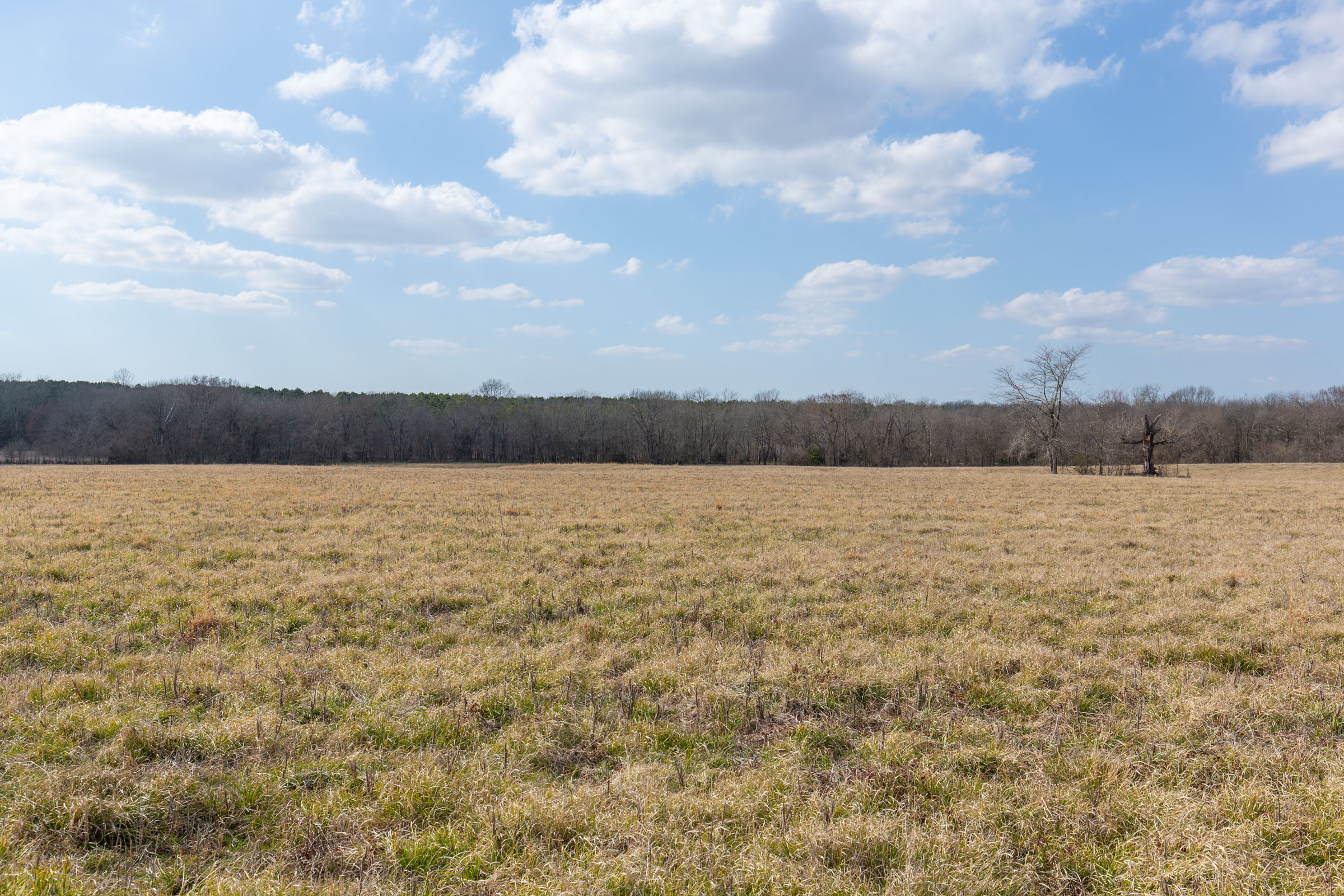 Tract 38 at Wishing Star Ranch in Red River County, Texas