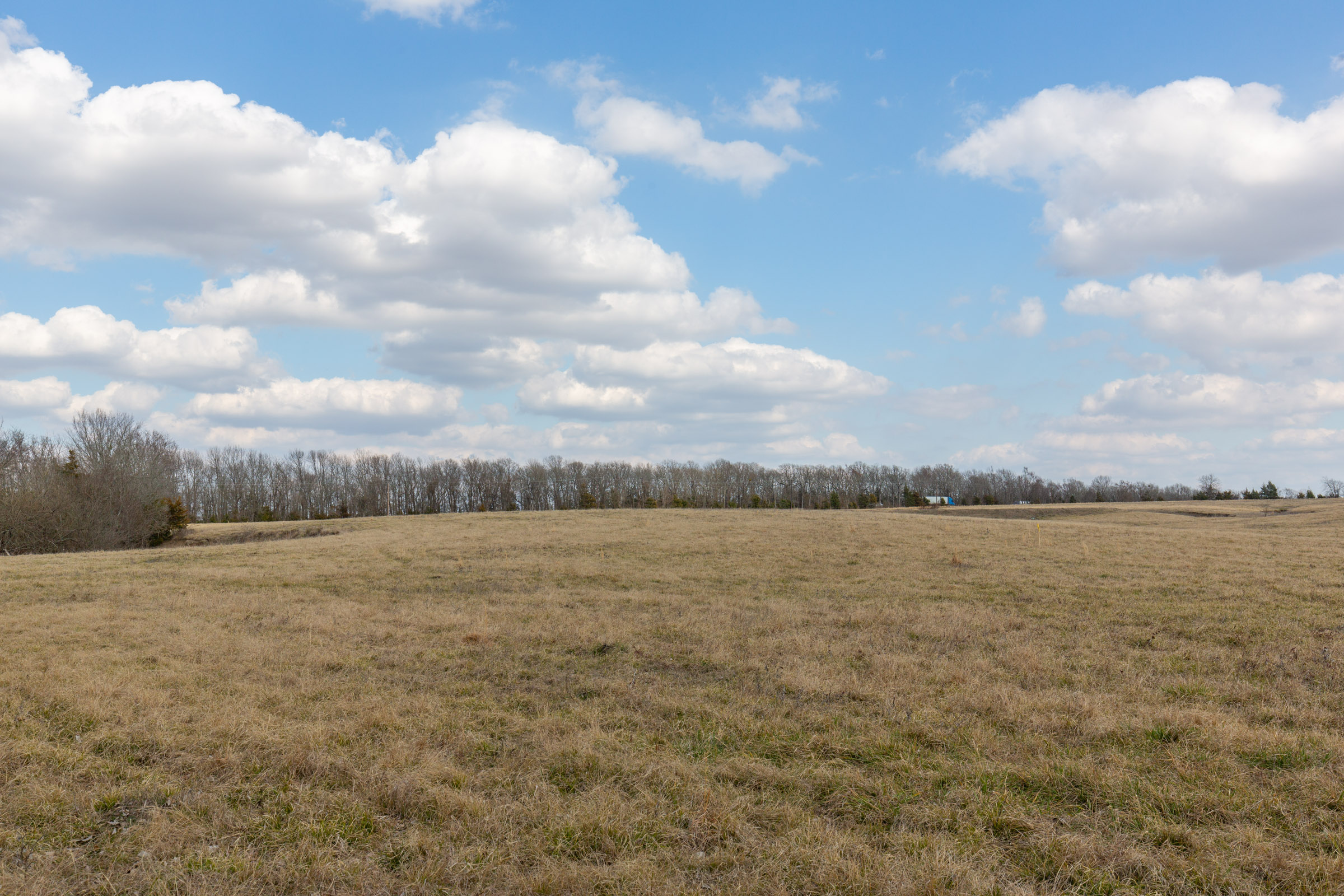Tract 39 at Wishing Star Ranch in Red River County, Texas