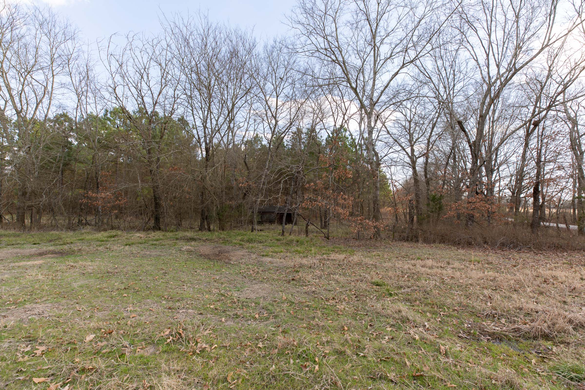 Tract 40 at Wishing Star Ranch in Red River County, Texas