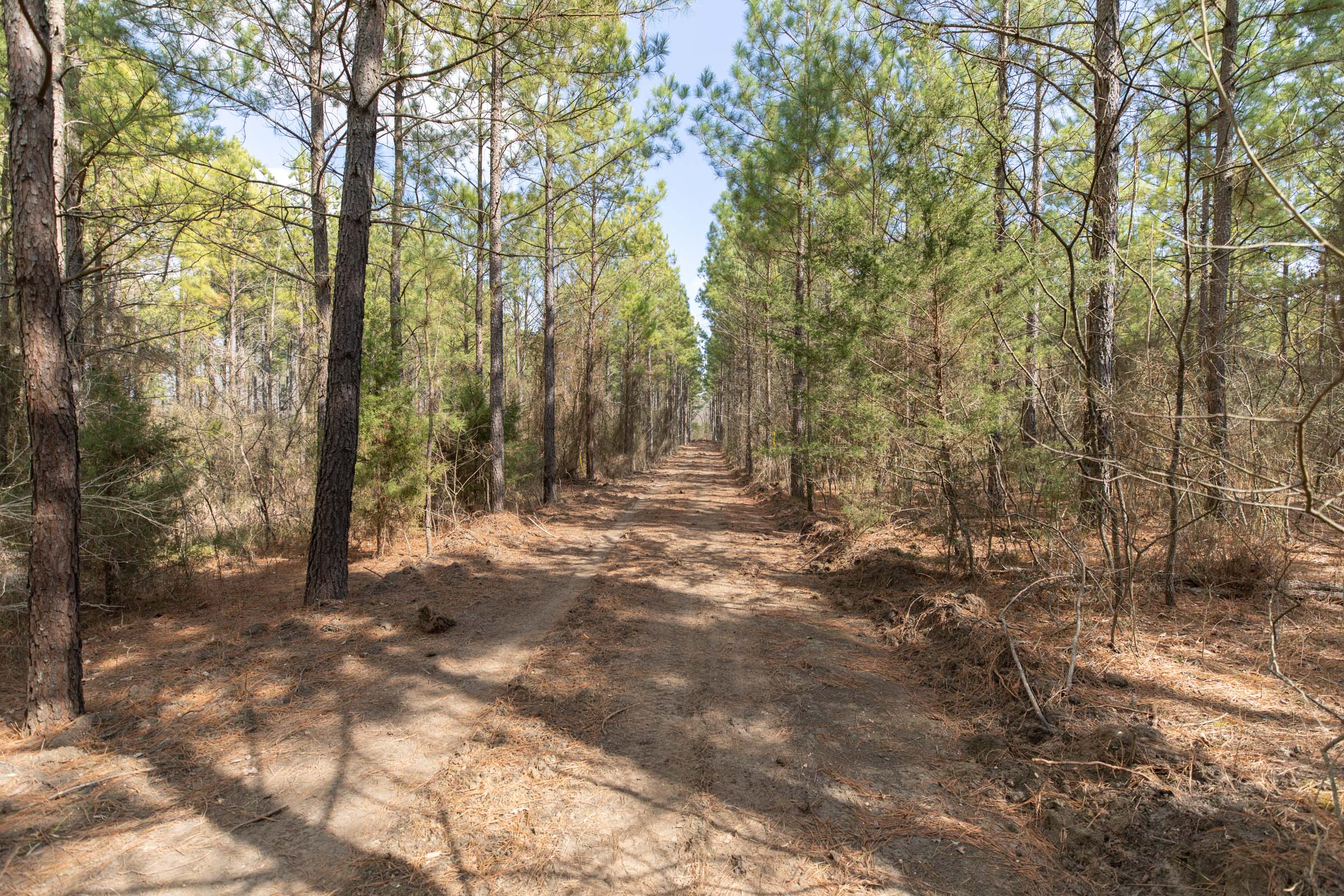 Tract 49 at Wishing Star Ranch in Red River County, Texas