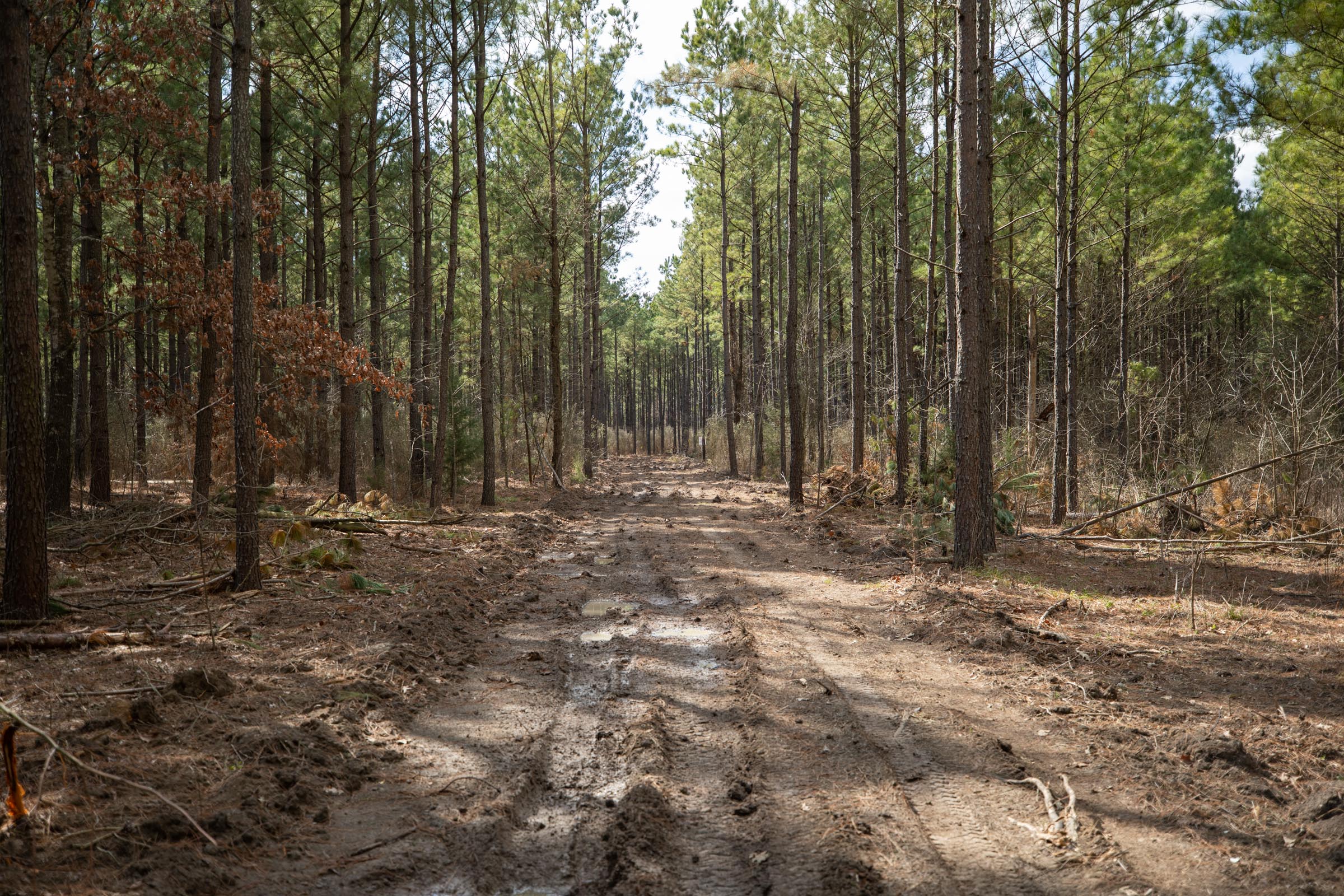 Tract 50 at Wishing Star Ranch in Red River County, Texas