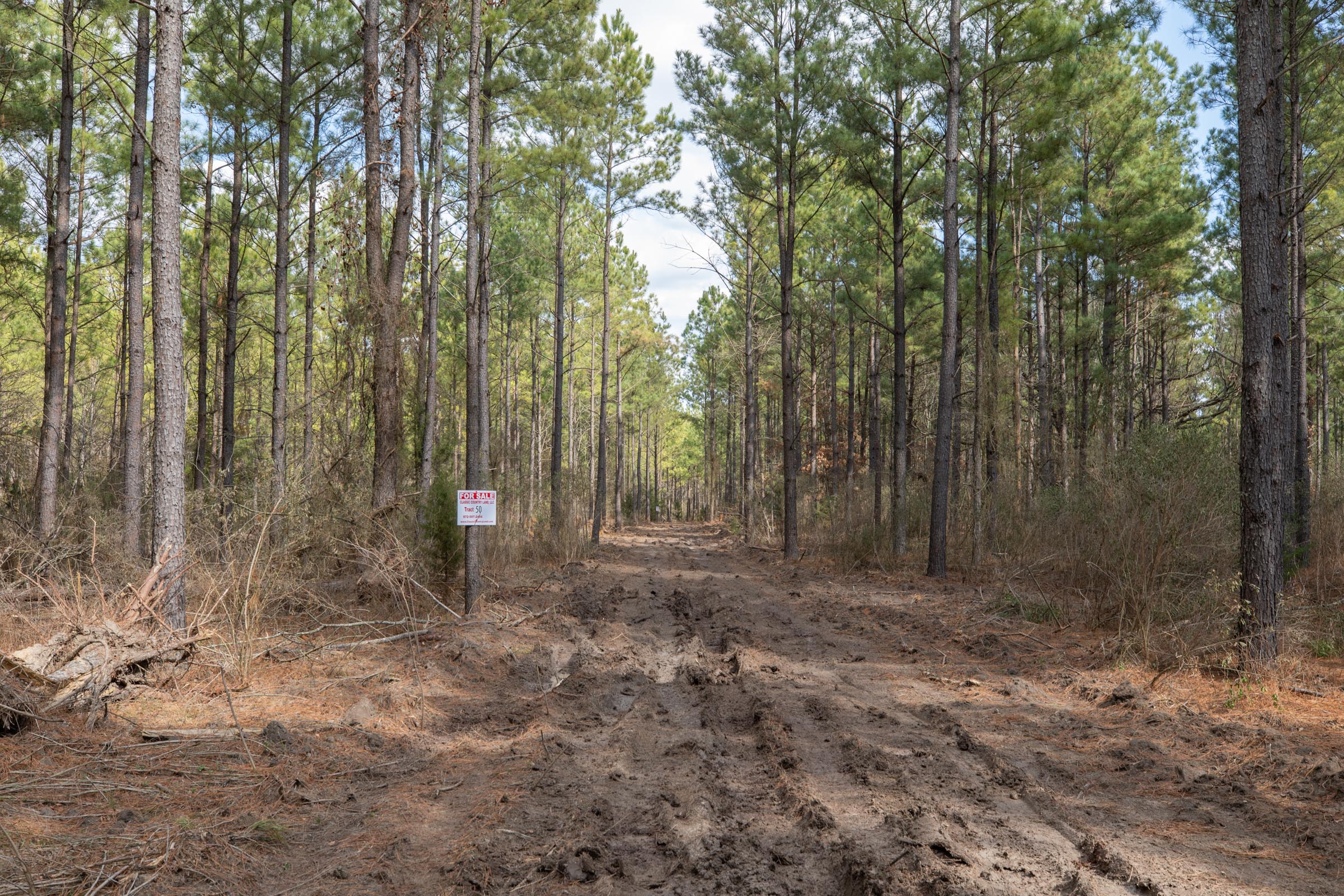 Tract 51 at Wishing Star Ranch in Red River County, Texas