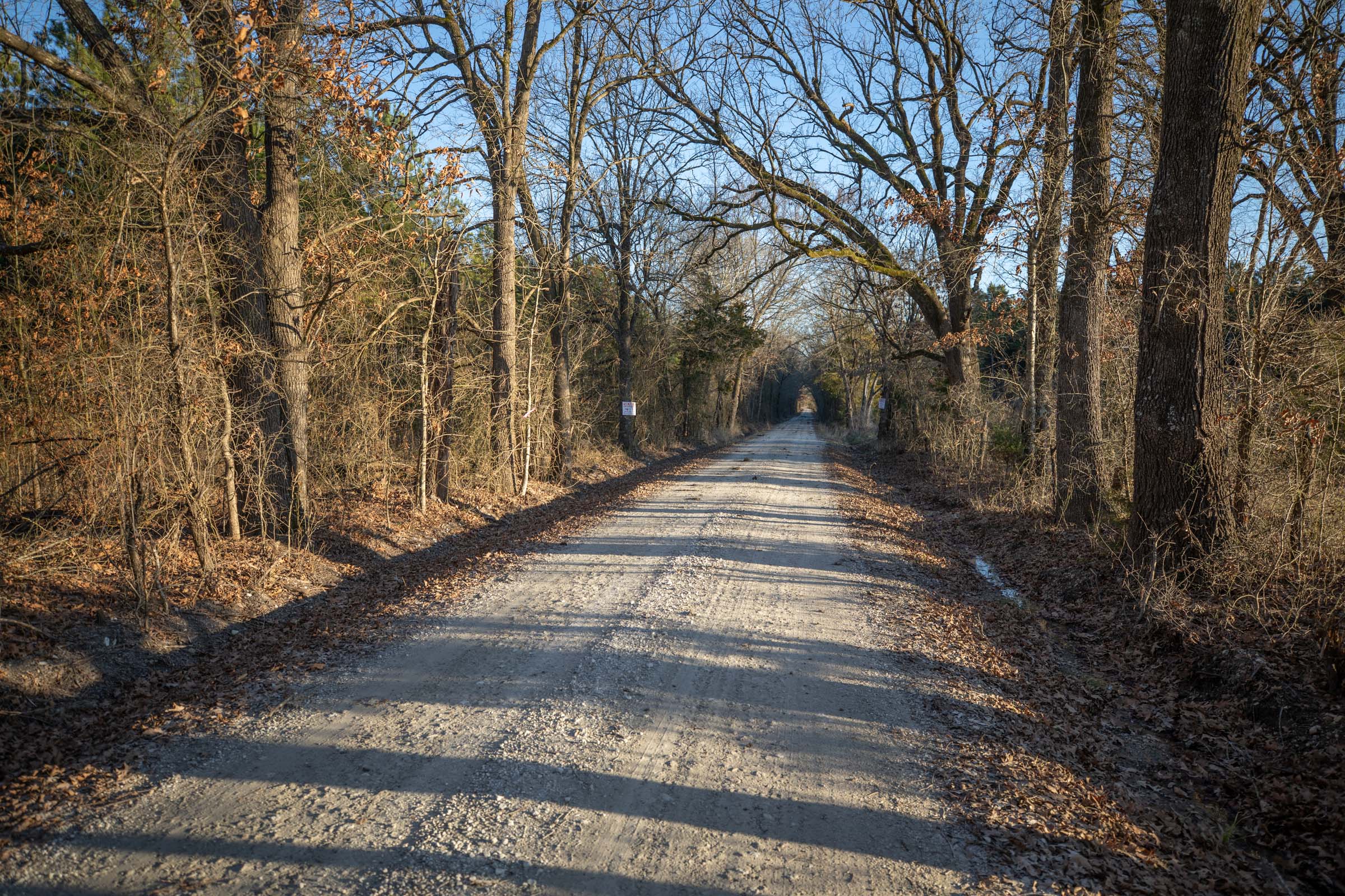 Tract 52 at Wishing Star Ranch in Red River County, Texas