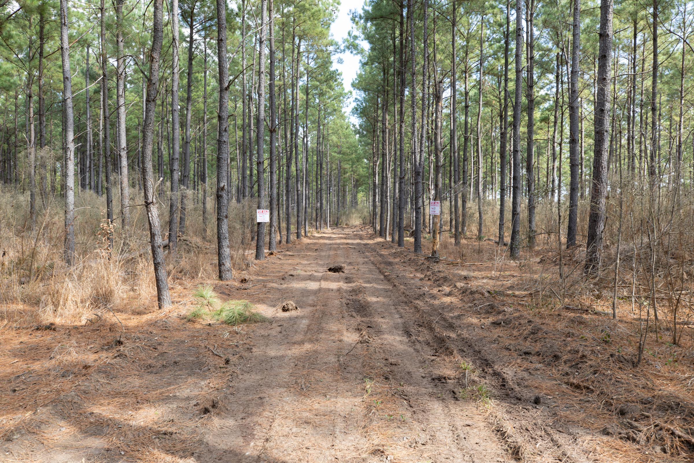 Tract 53 at Wishing Star Ranch in Red River County, Texas
