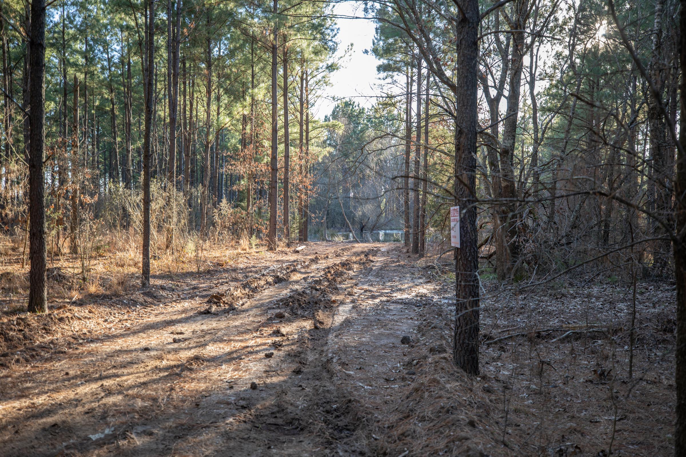 Tract 56 at Wishing Star Ranch in Red River County, Texas
