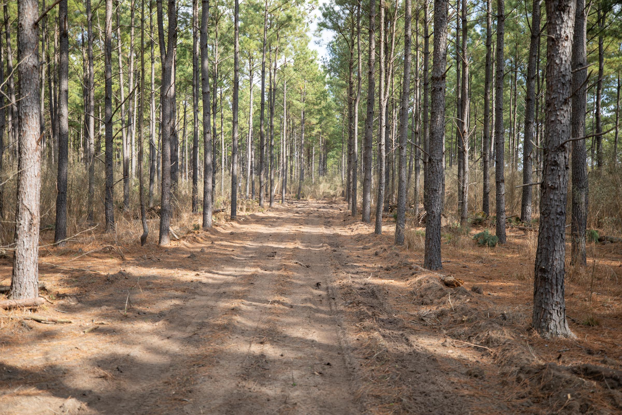 Tract 59 at Wishing Star Ranch in Red River County, Texas
