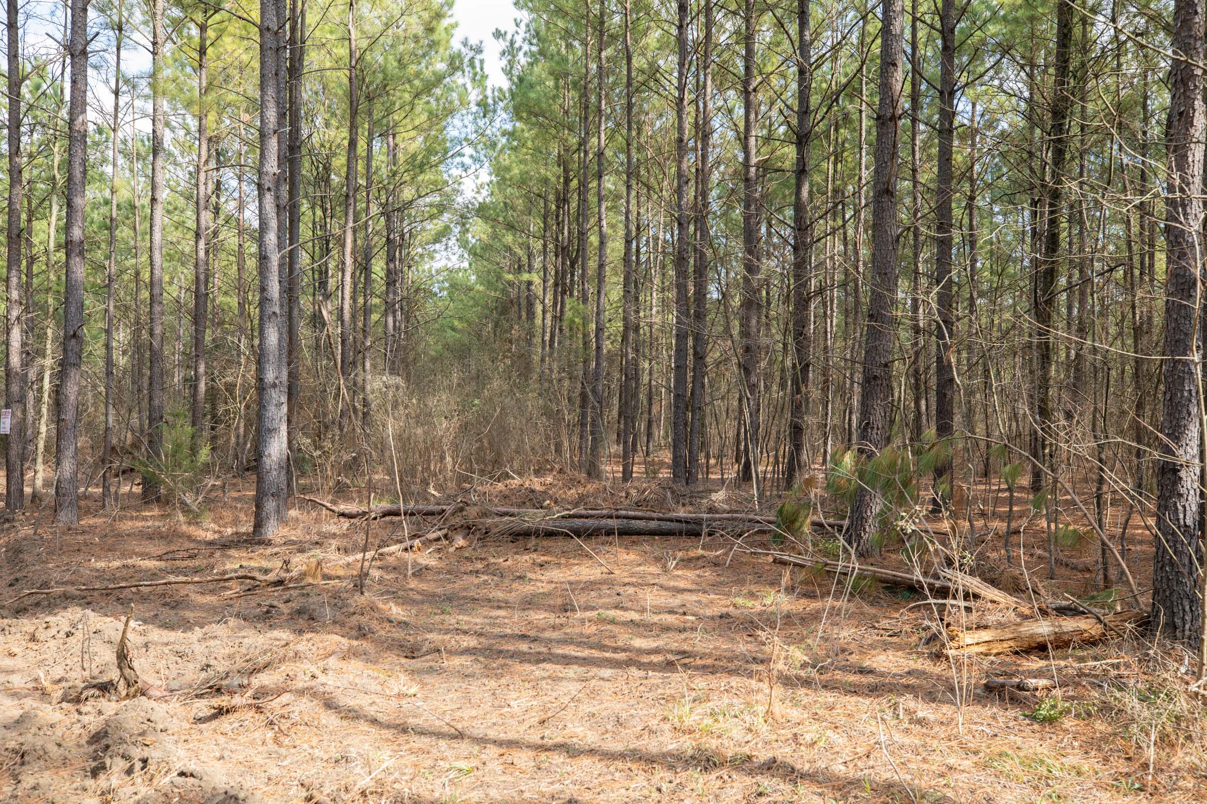 Tract 61 at Wishing Star Ranch in Red River County, Texas