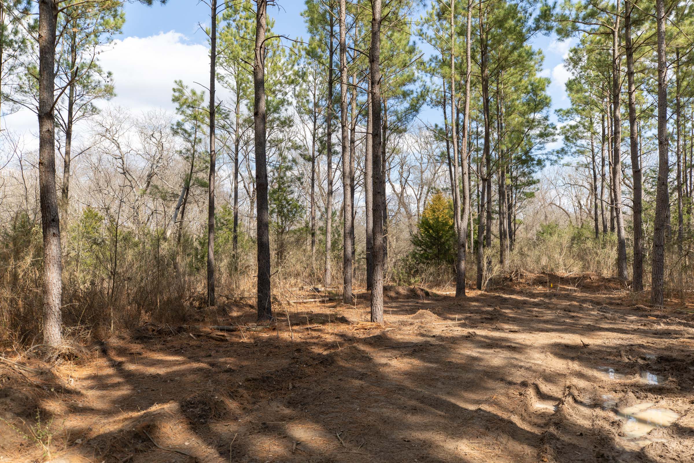 Tract 62 at Wishing Star Ranch in Red River County, Texas