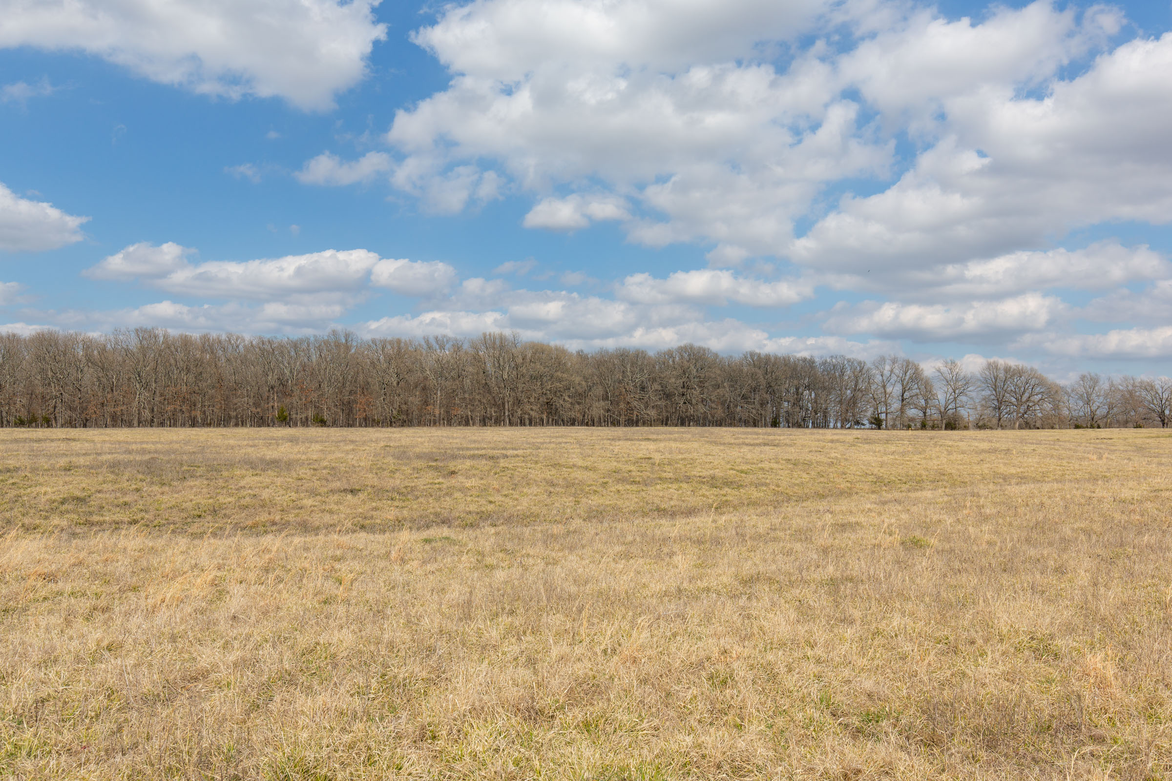 Tract 68 at Wishing Star Ranch in Red River County, Texas