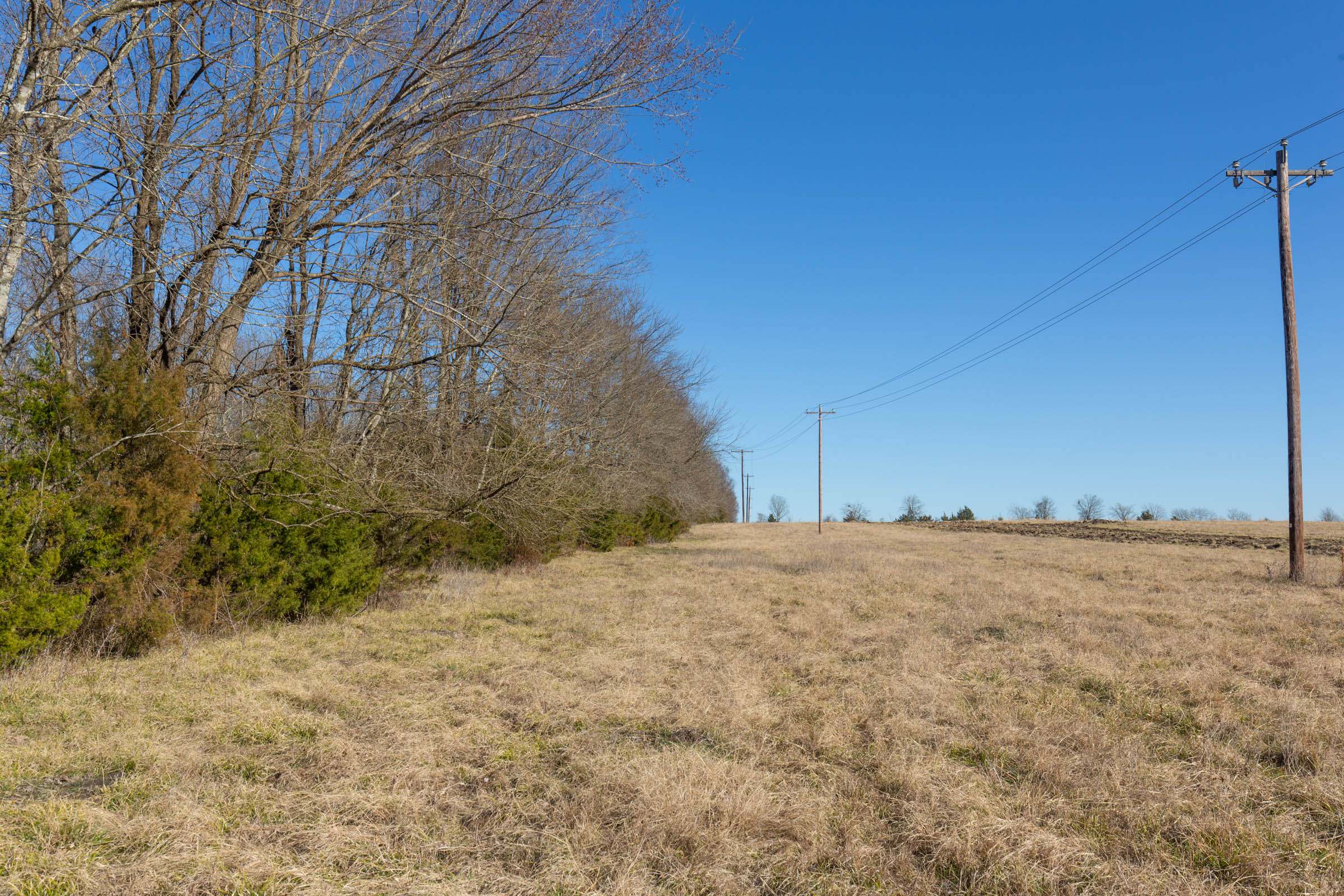 Tract 7 at Wishing Star Ranch in Red River County, Texas