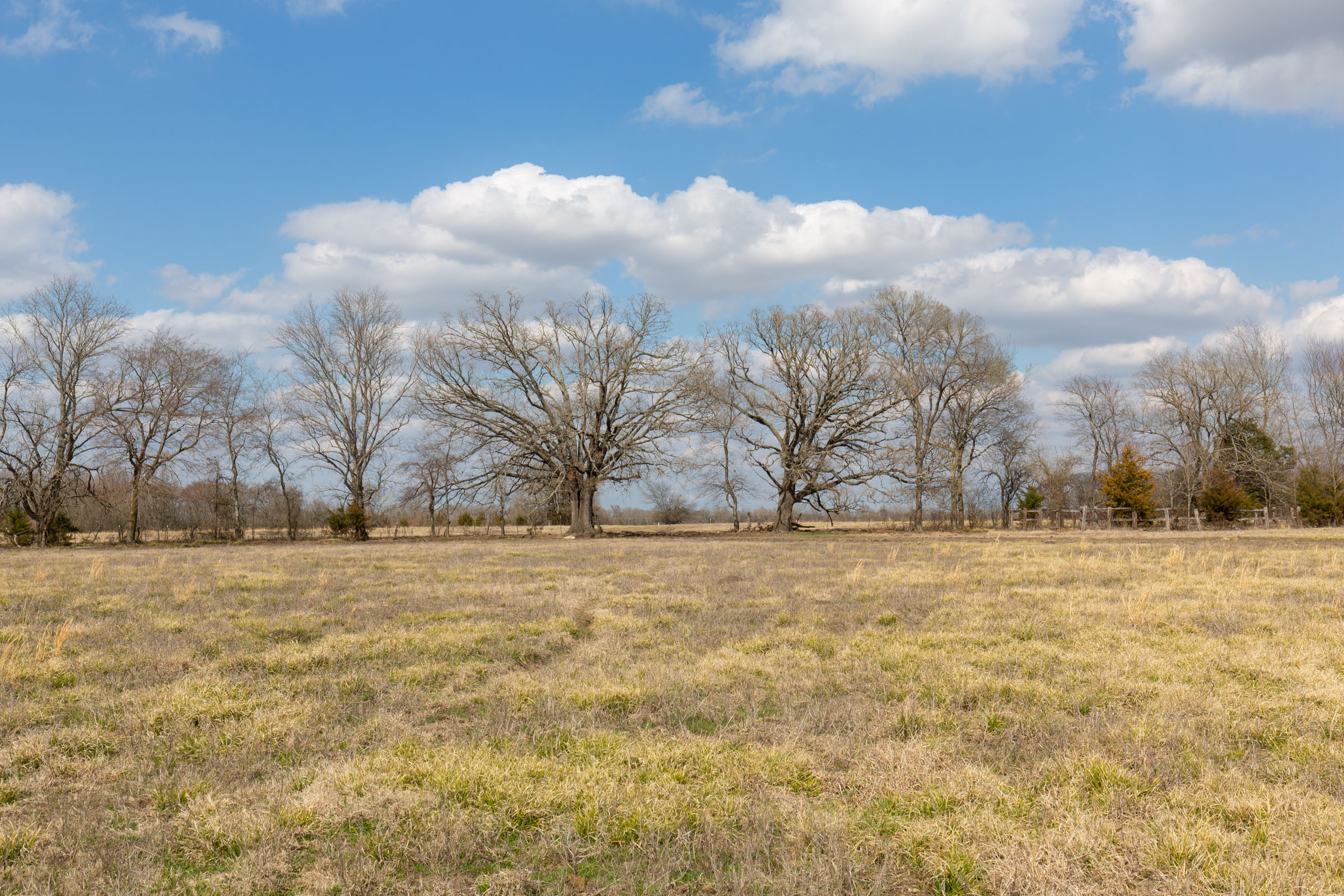 Tract 70 at Wishing Star Ranch in Red River County, Texas