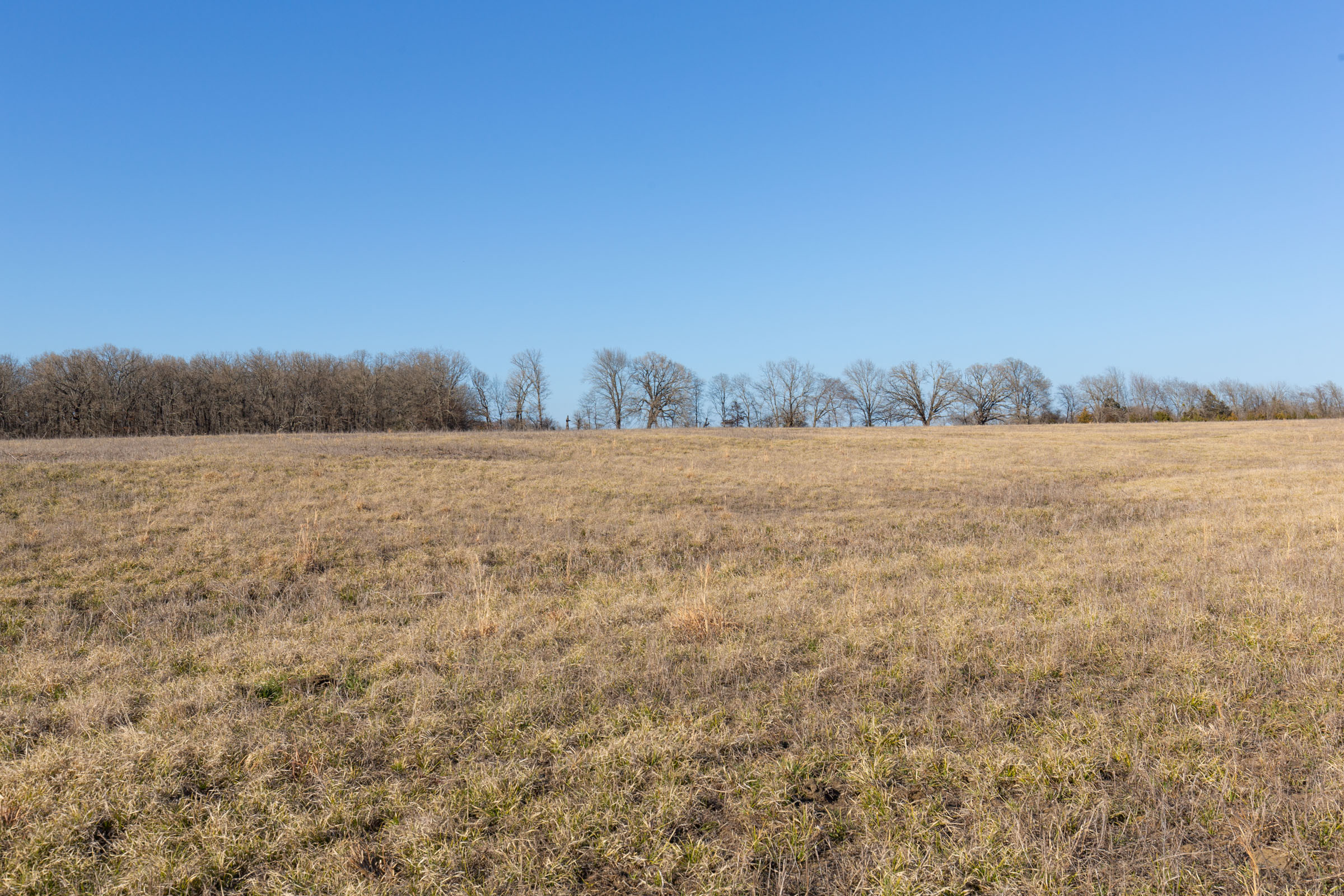 Tract 74 at Wishing Star Ranch in Red River County, Texas
