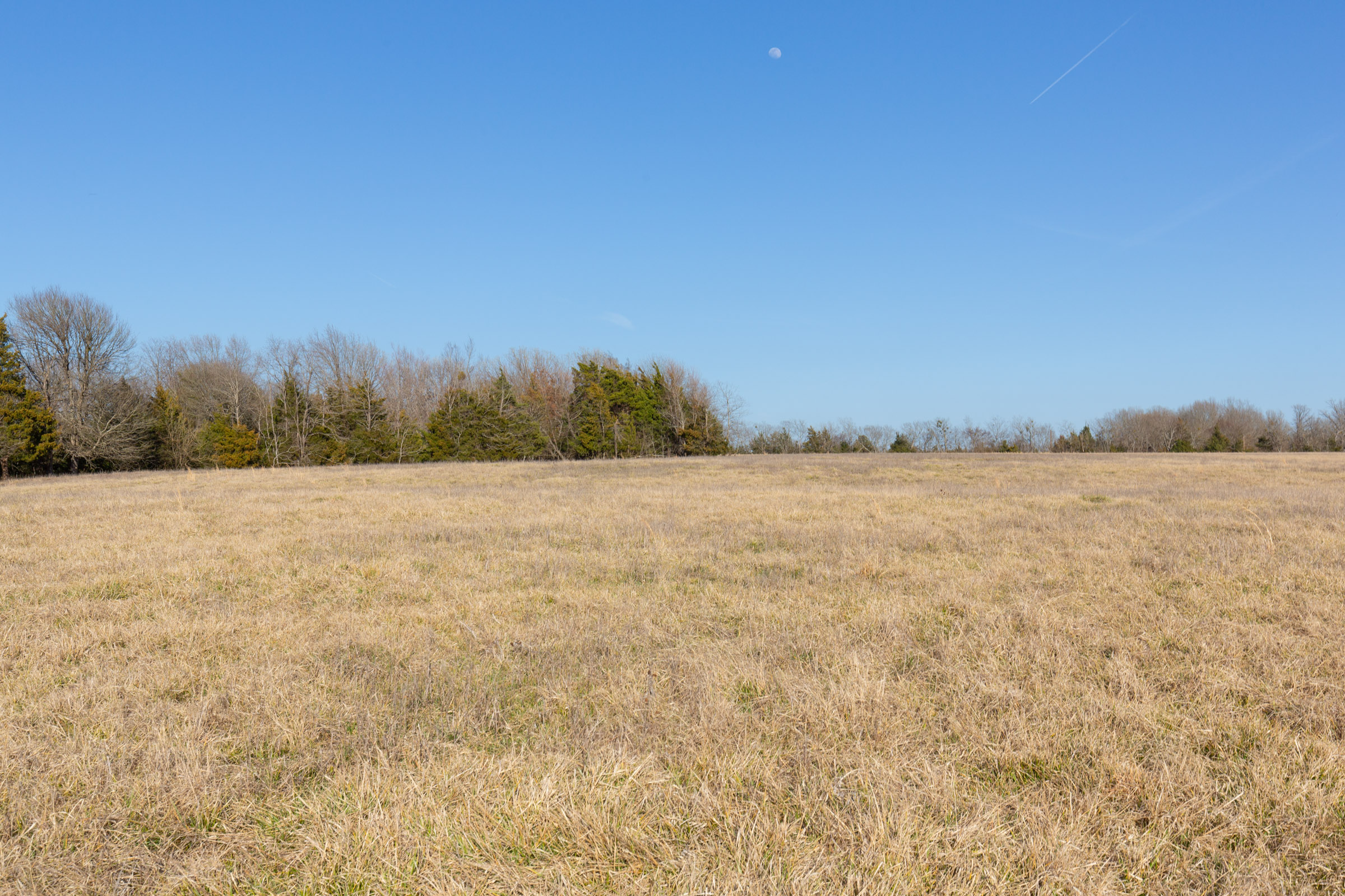 Tract 76 at Wishing Star Ranch in Red River County, Texas