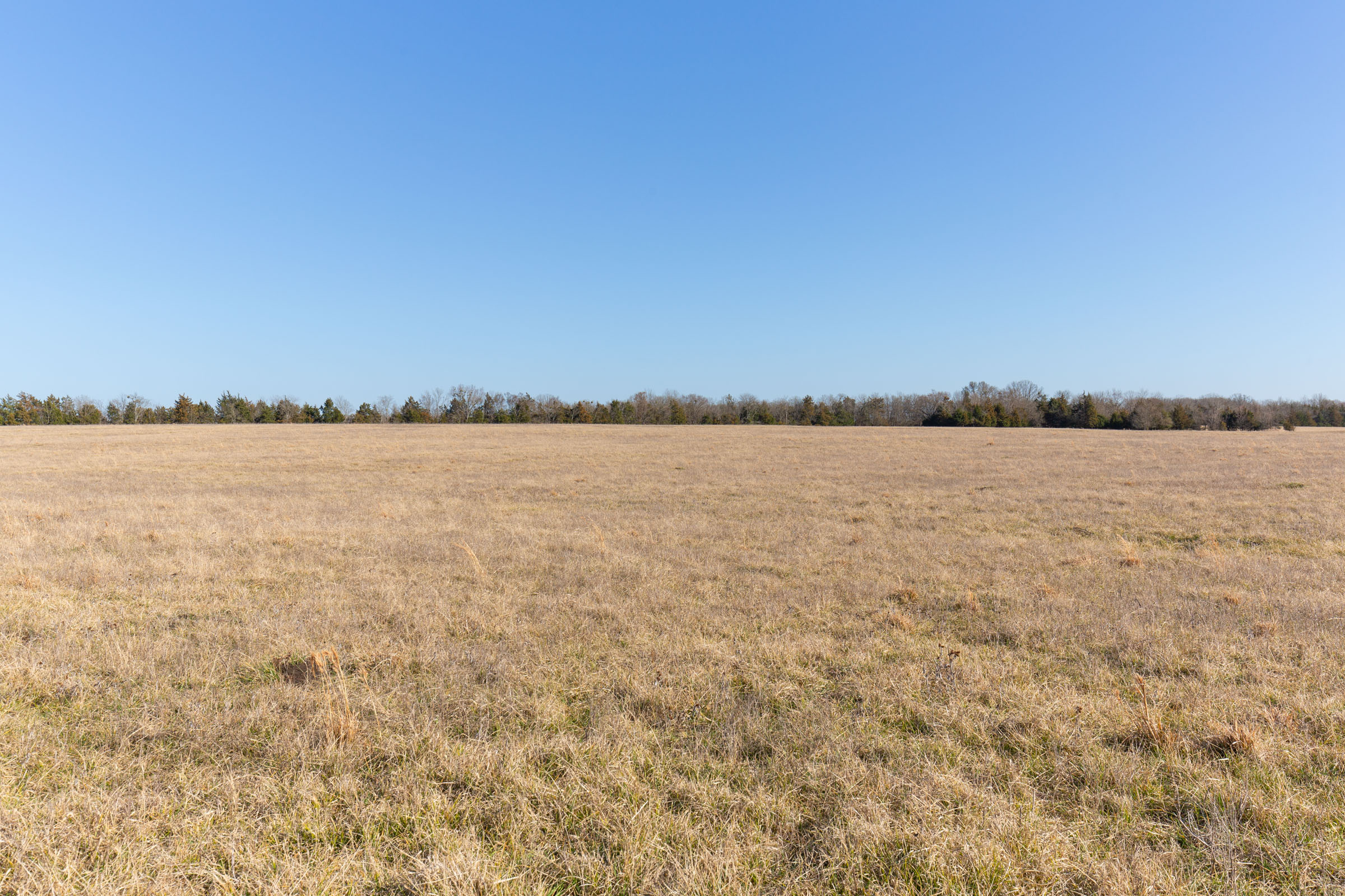 Tract 77 at Wishing Star Ranch in Red River County, Texas