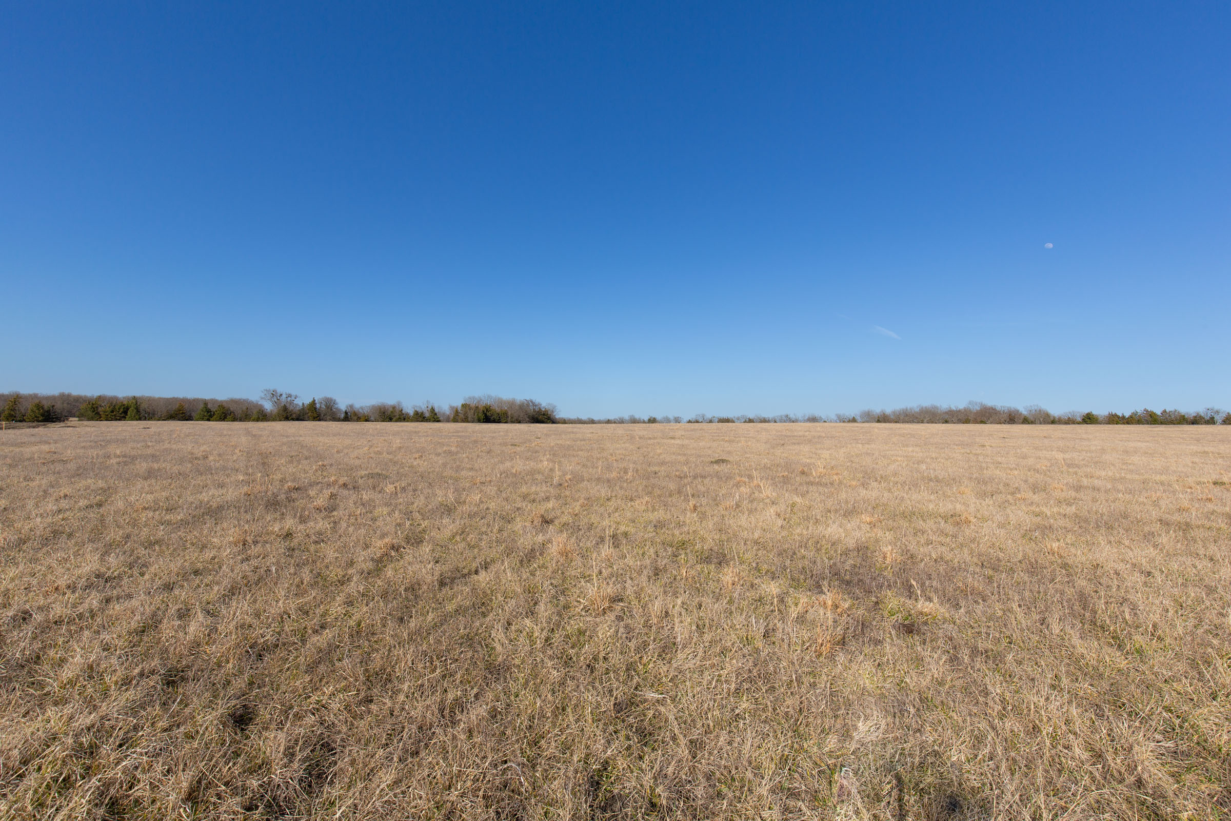 Tract 78 at Wishing Star Ranch in Red River County, Texas