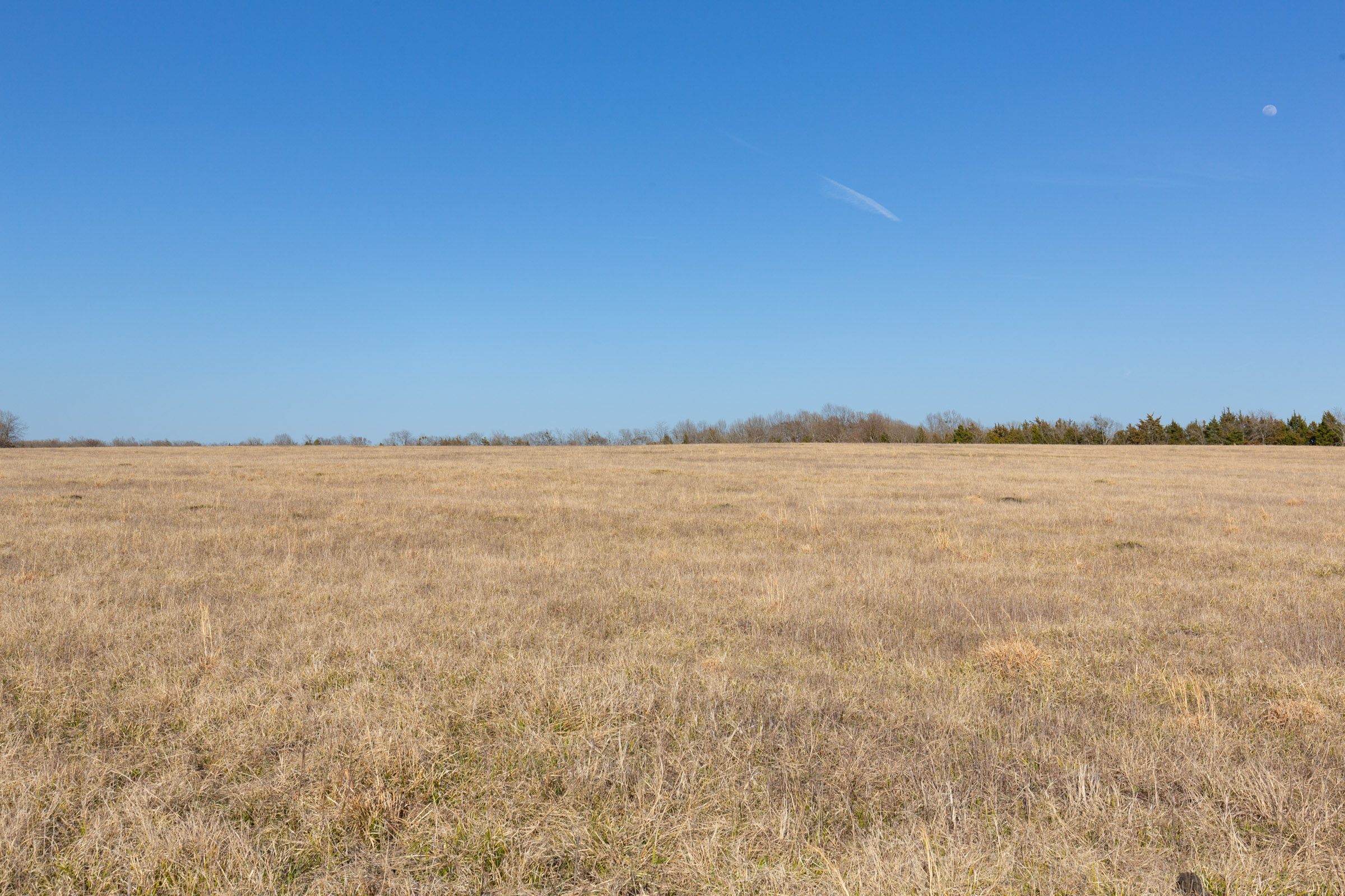 Tract 79 at Wishing Star Ranch in Red River County, Texas
