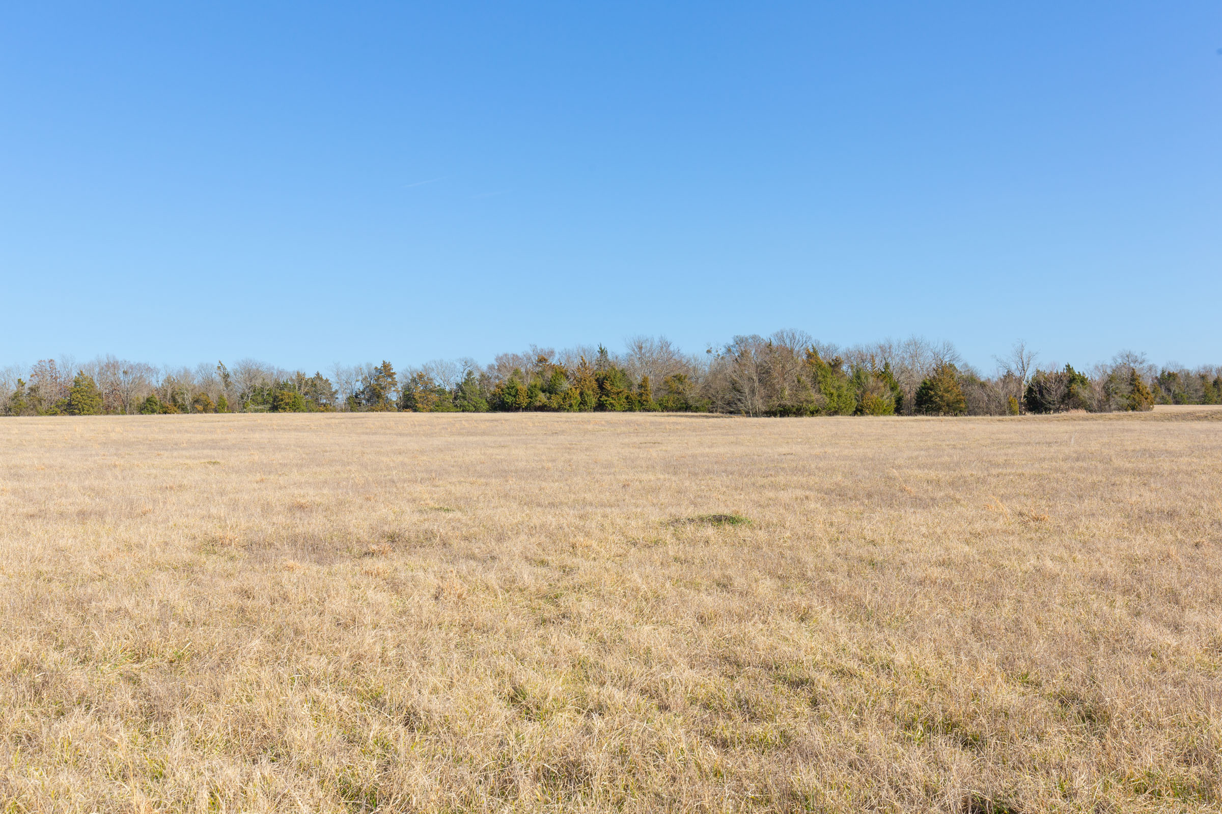Tract 80 at Wishing Star Ranch in Red River County, Texas