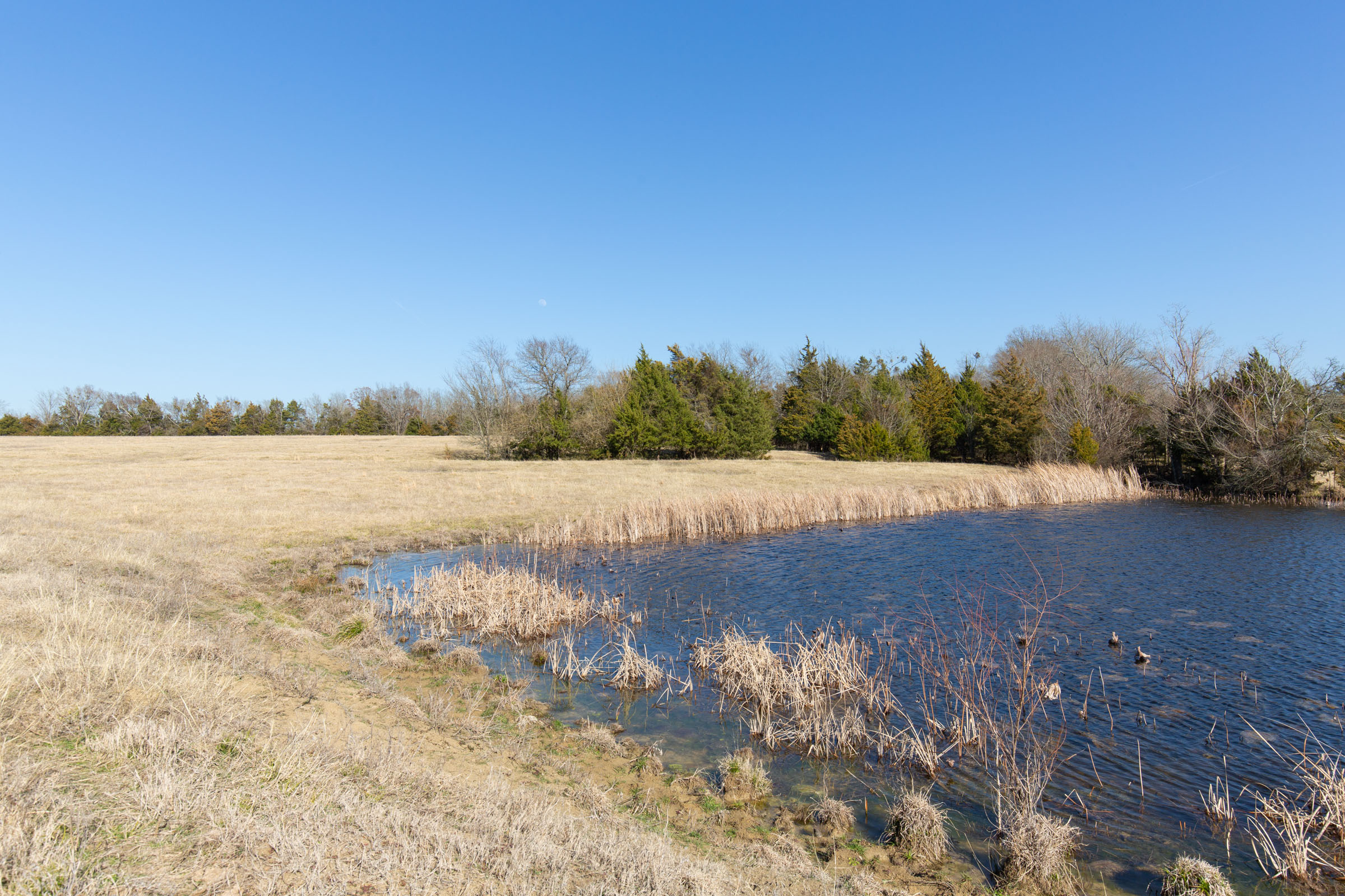 Tract 81 at Wishing Star Ranch in Red River County, Texas