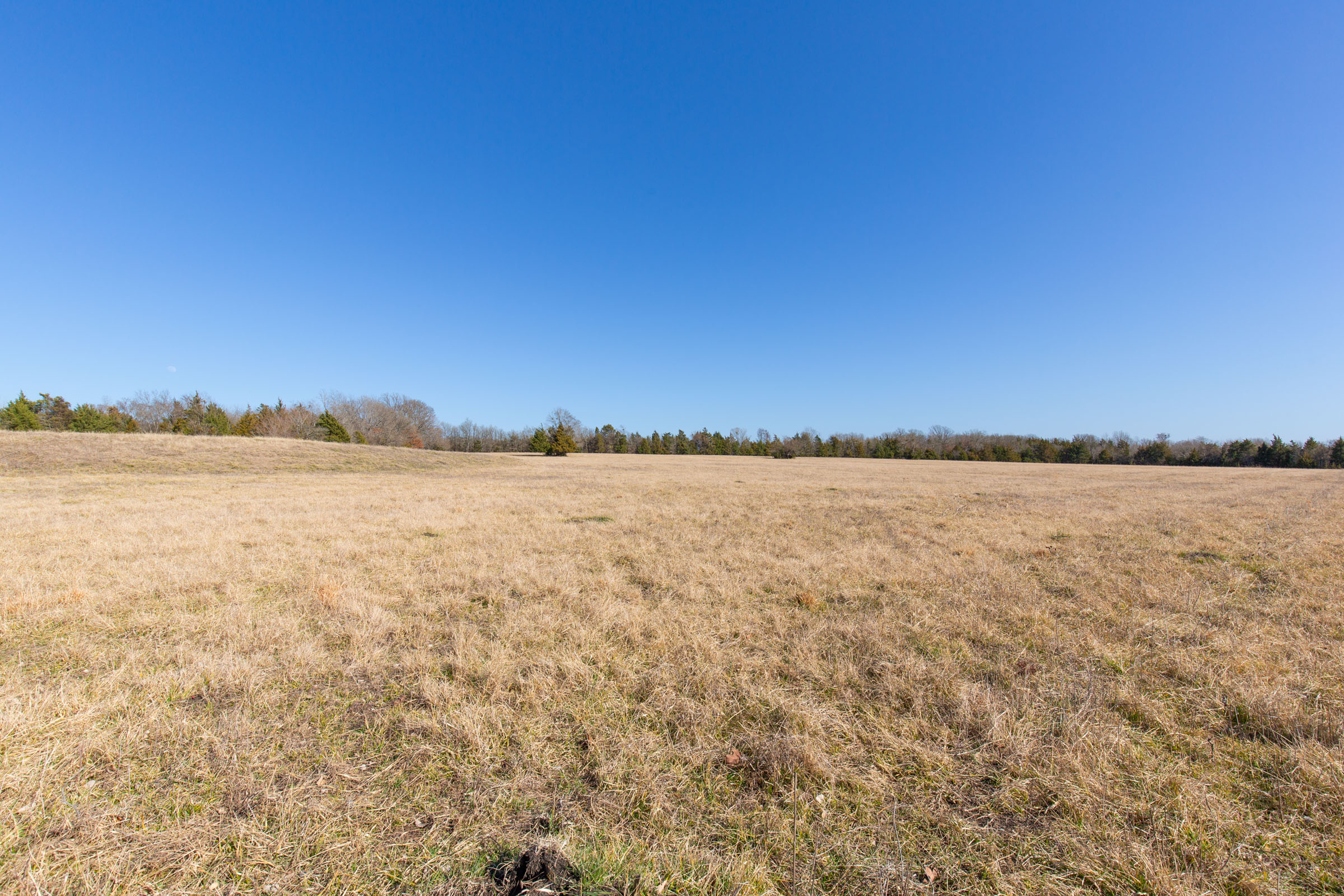 Tract 82 at Wishing Star Ranch in Red River County, Texas