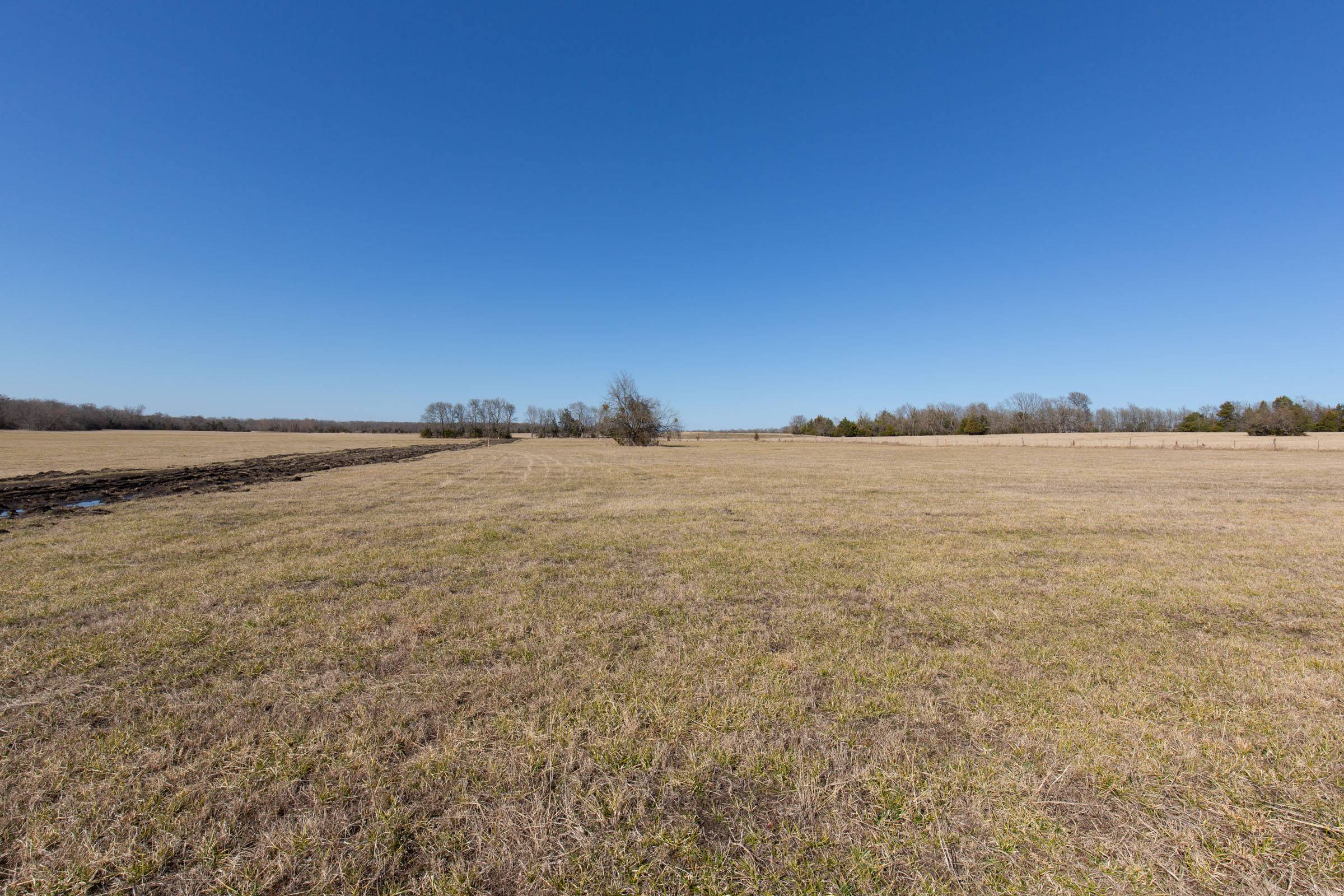 Tract 84 at Wishing Star Ranch in Red River County, Texas
