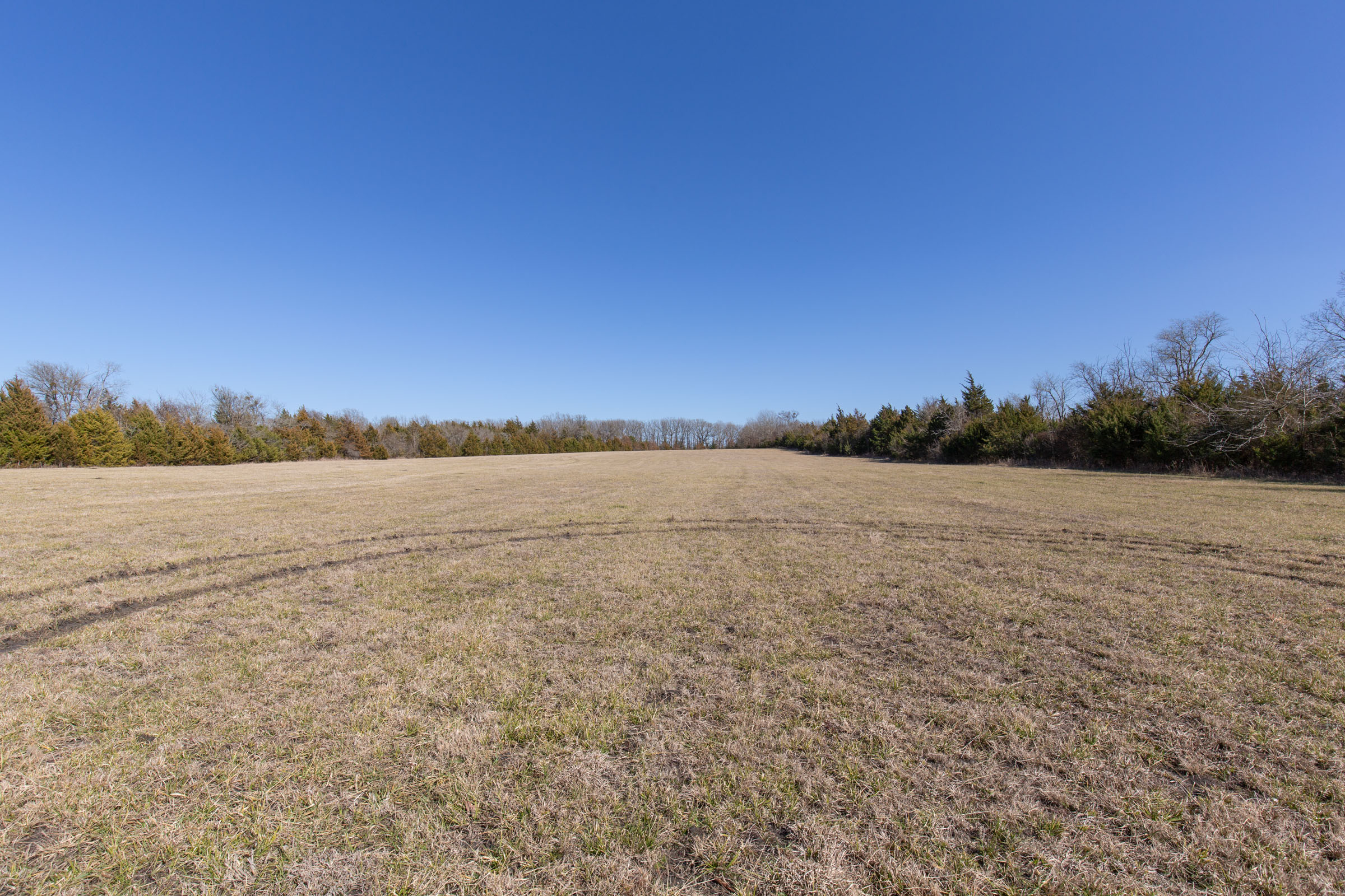Tract 86 at Wishing Star Ranch in Red River County, Texas
