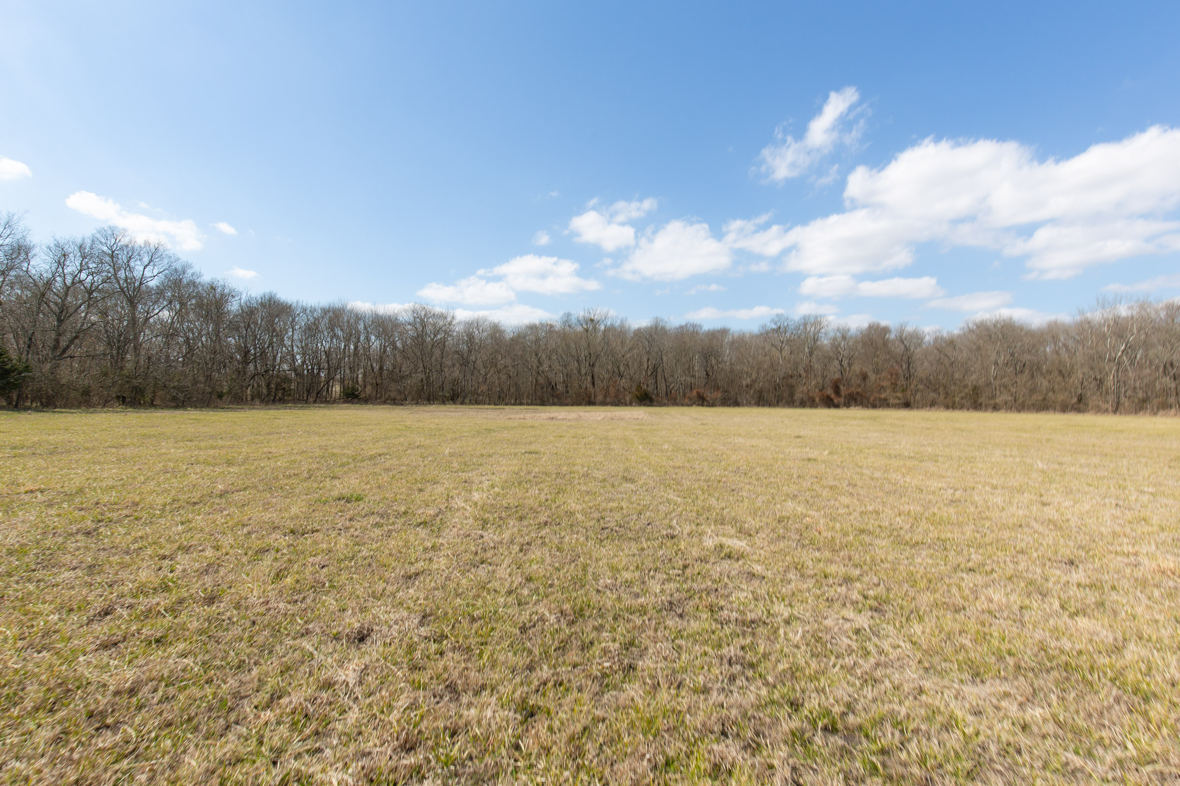 Tract 87 at Wishing Star Ranch in Red River County, Texas
