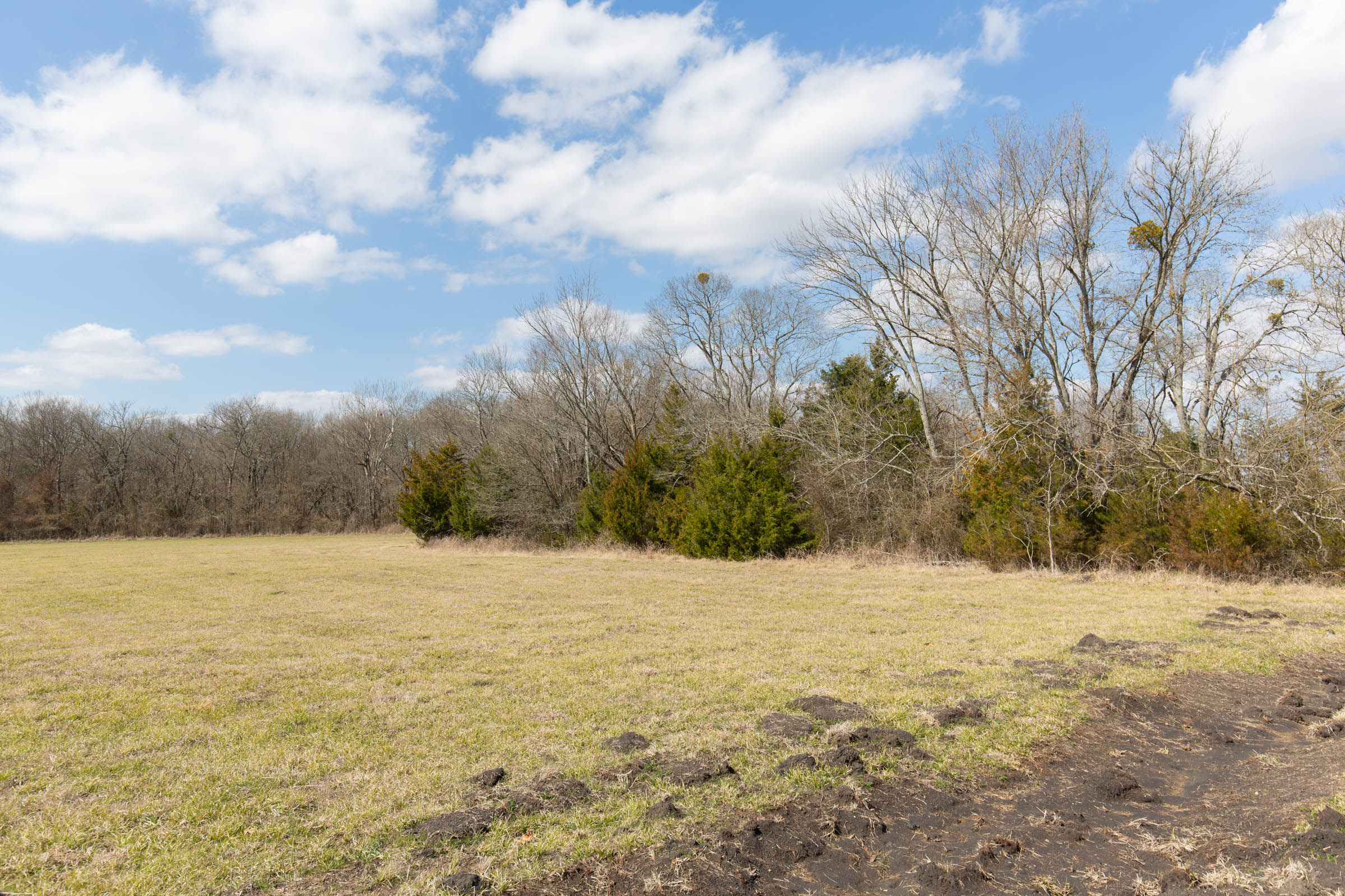 Tract 88 at Wishing Star Ranch in Red River County, Texas