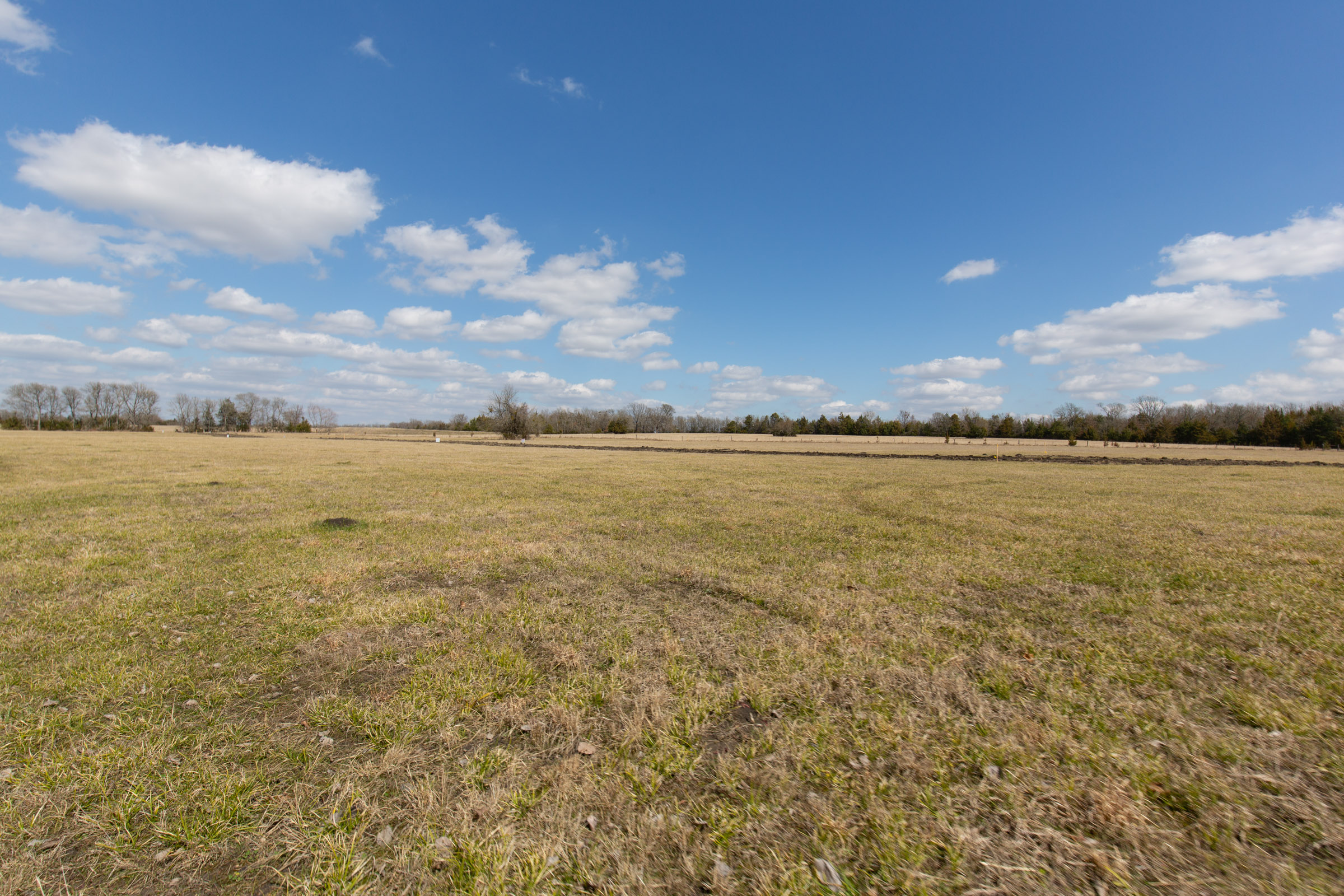 Tract 89 at Wishing Star Ranch in Red River County, Texas