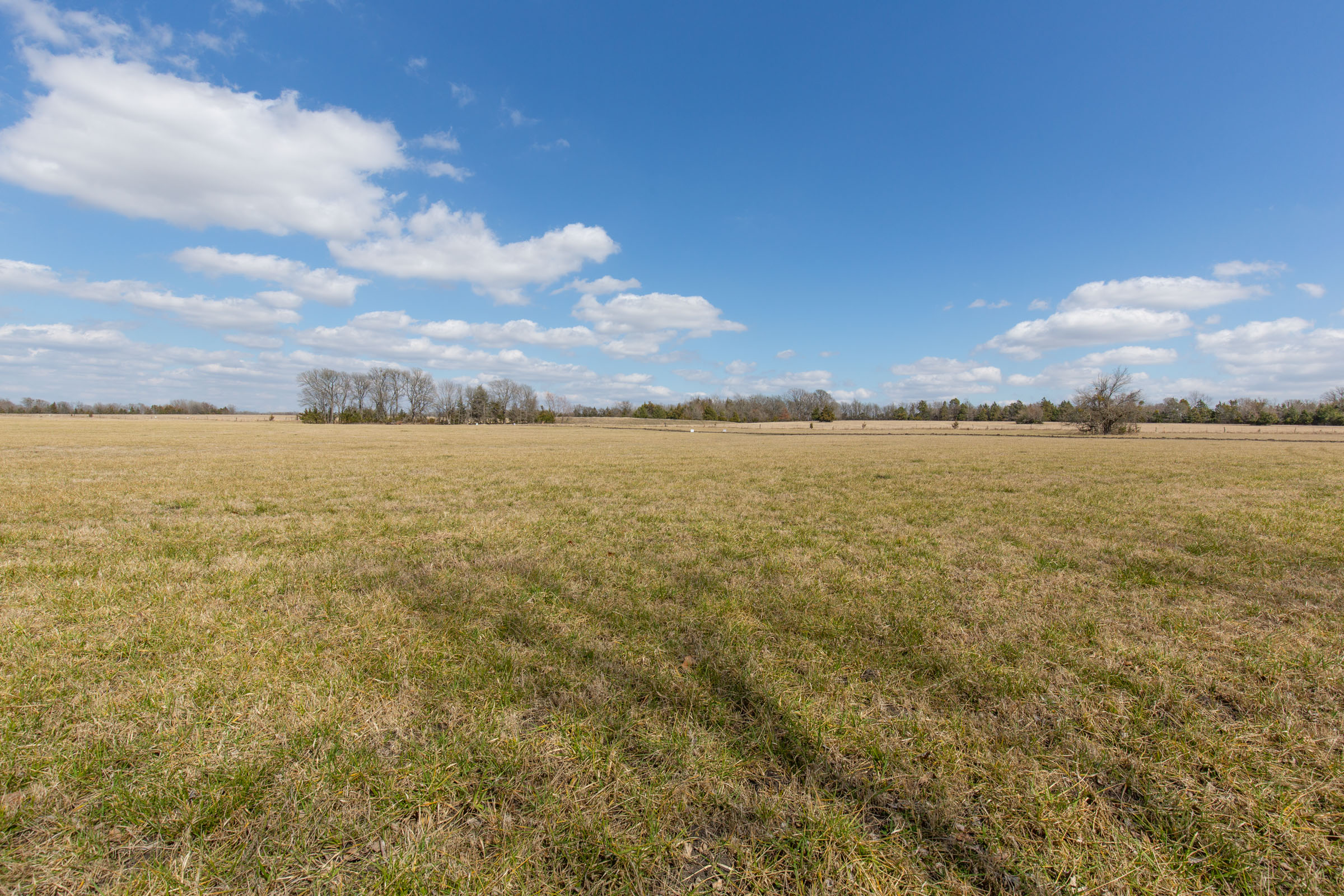 Tract 90 at Wishing Star Ranch in Red River County, Texas