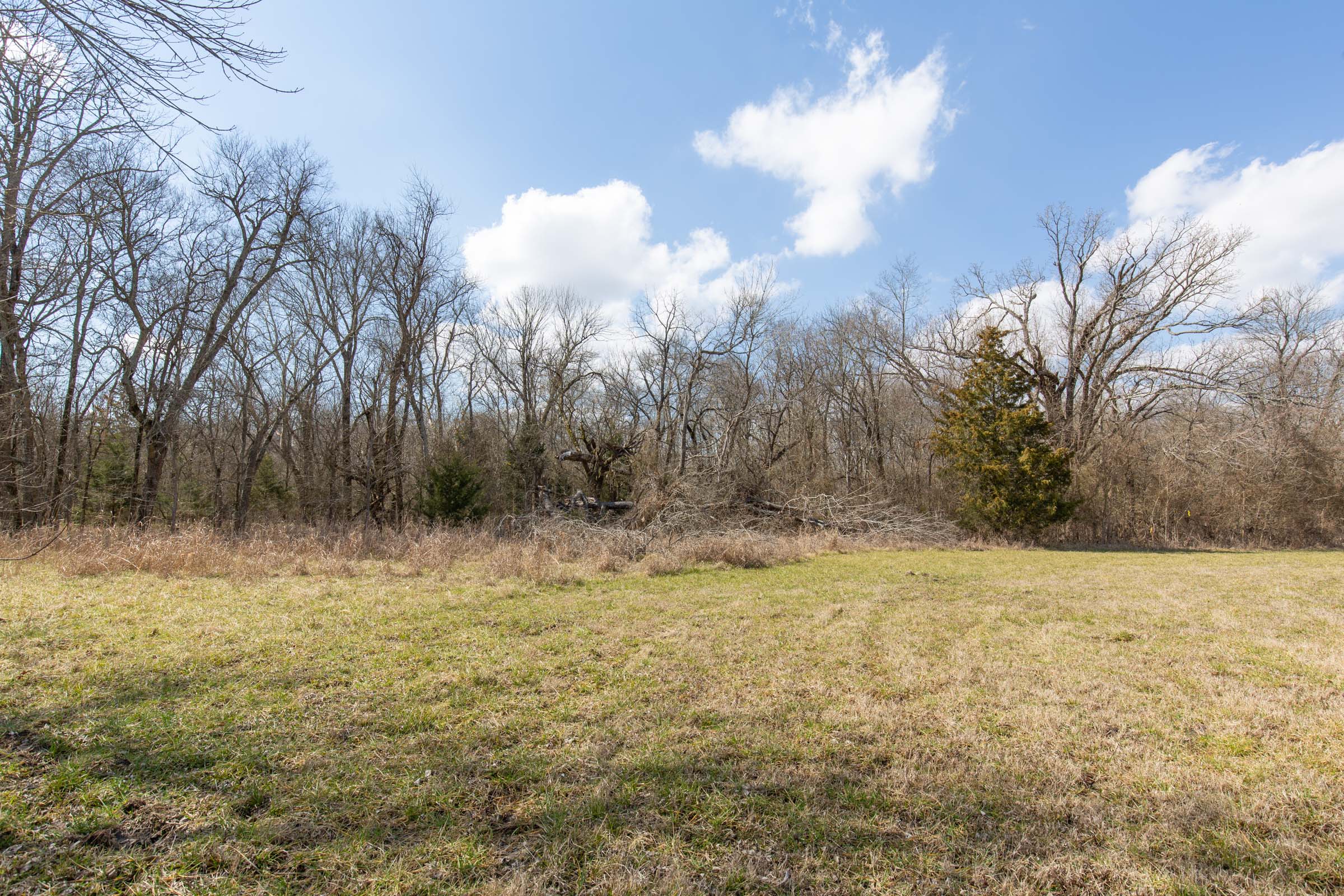 Tract 91 at Wishing Star Ranch in Red River County, Texas