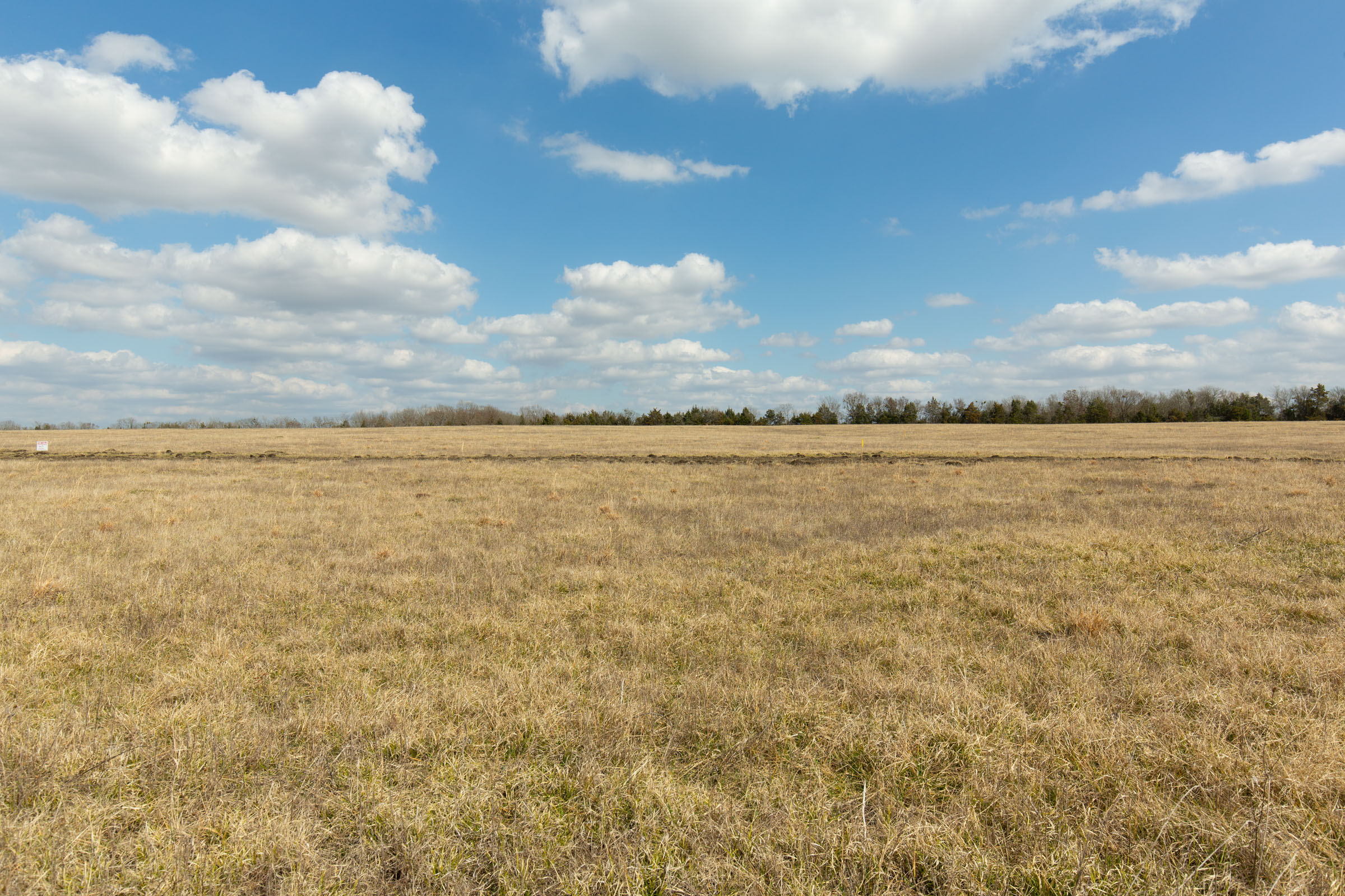 Tract 94 at Wishing Star Ranch in Red River County, Texas